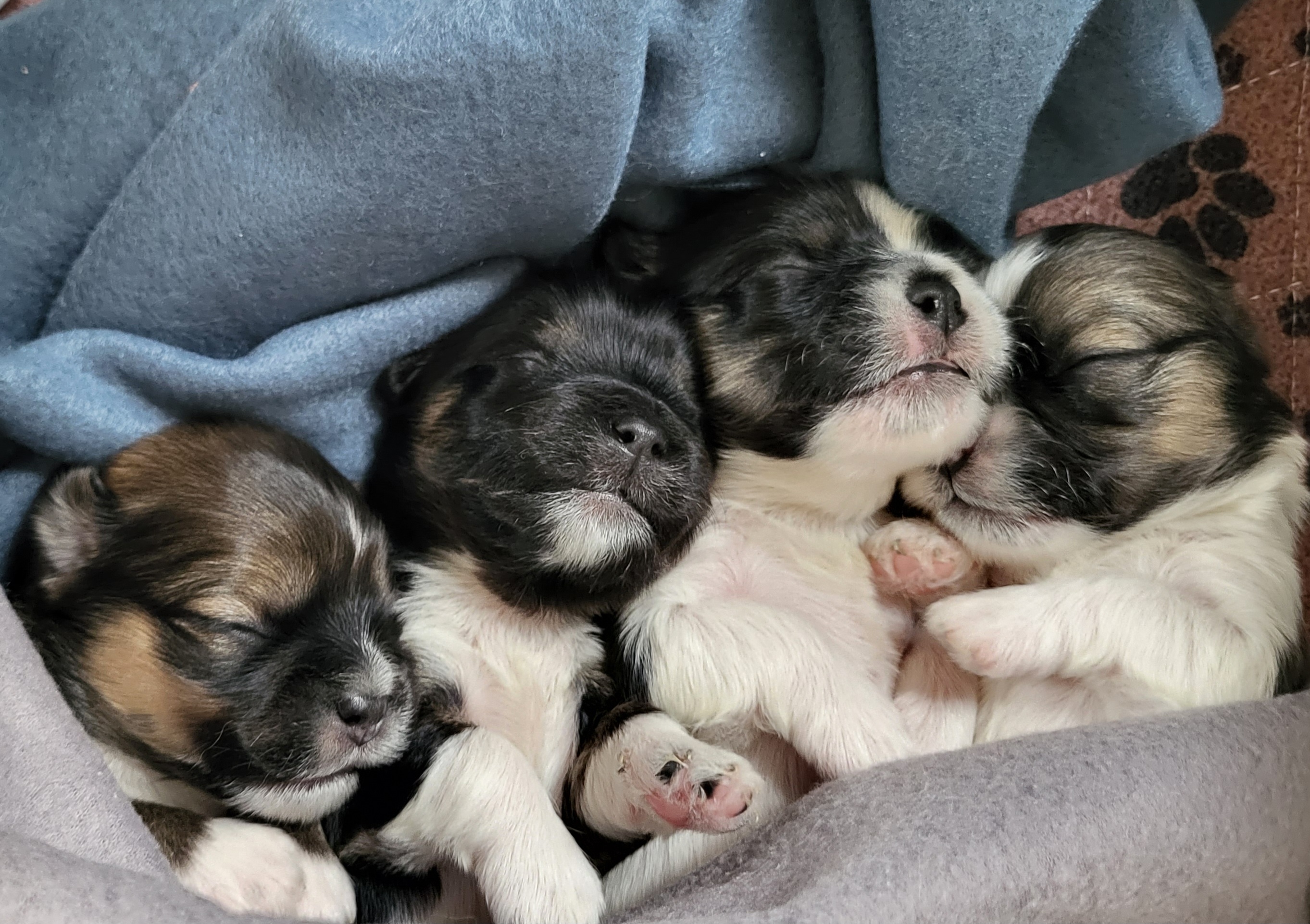 Mette Minken Warhuus Mette Minken Warhuus