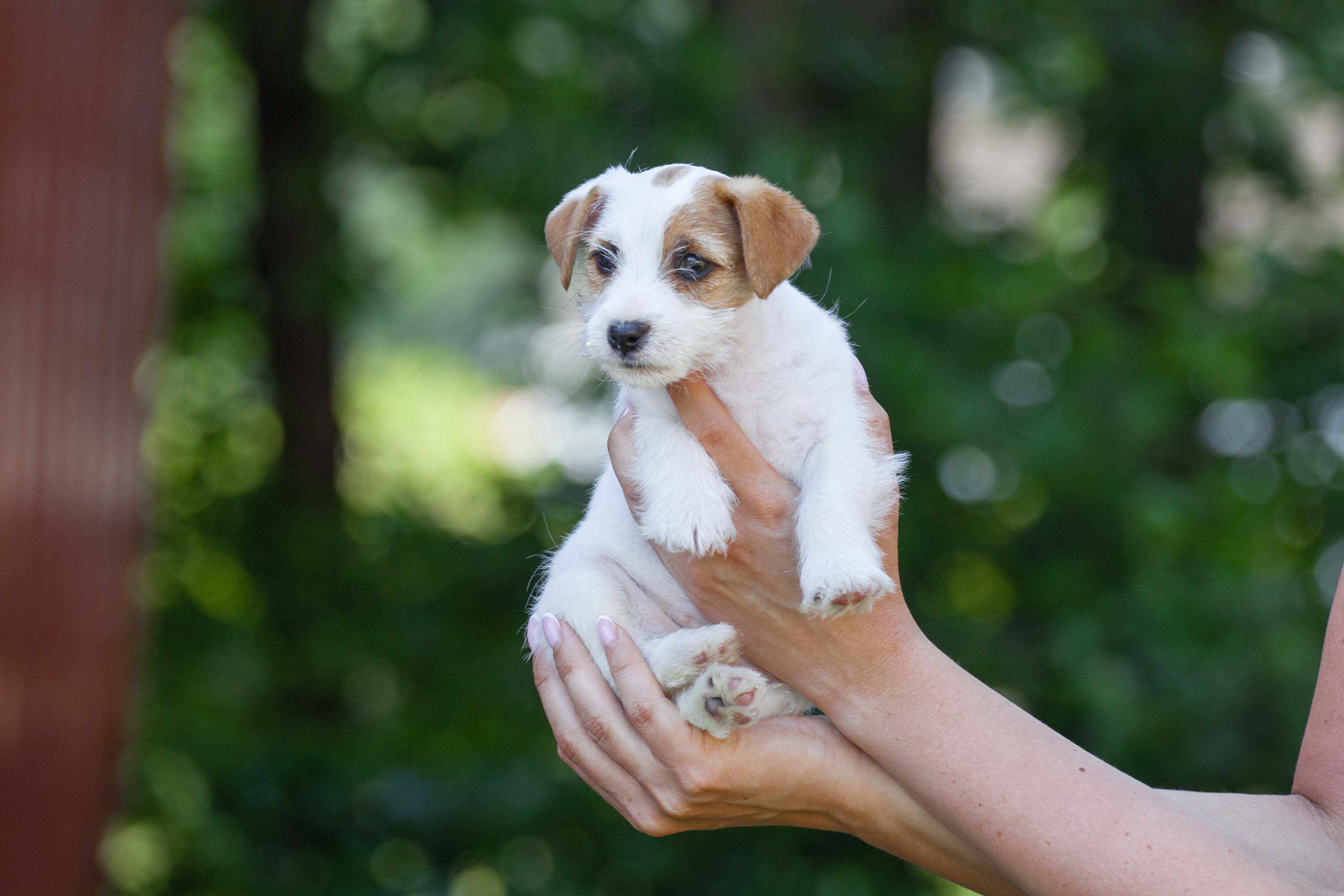 Altolivello’s Reality Check Altolivello’s Reality Check