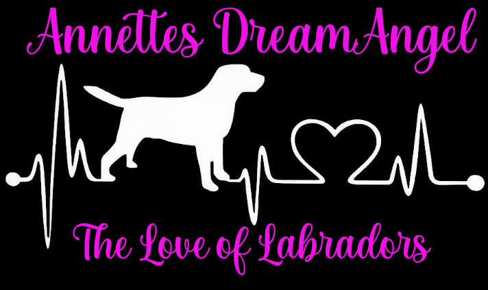 Kennel Annettes DreamAngel Kennel Annettes DreamAngel