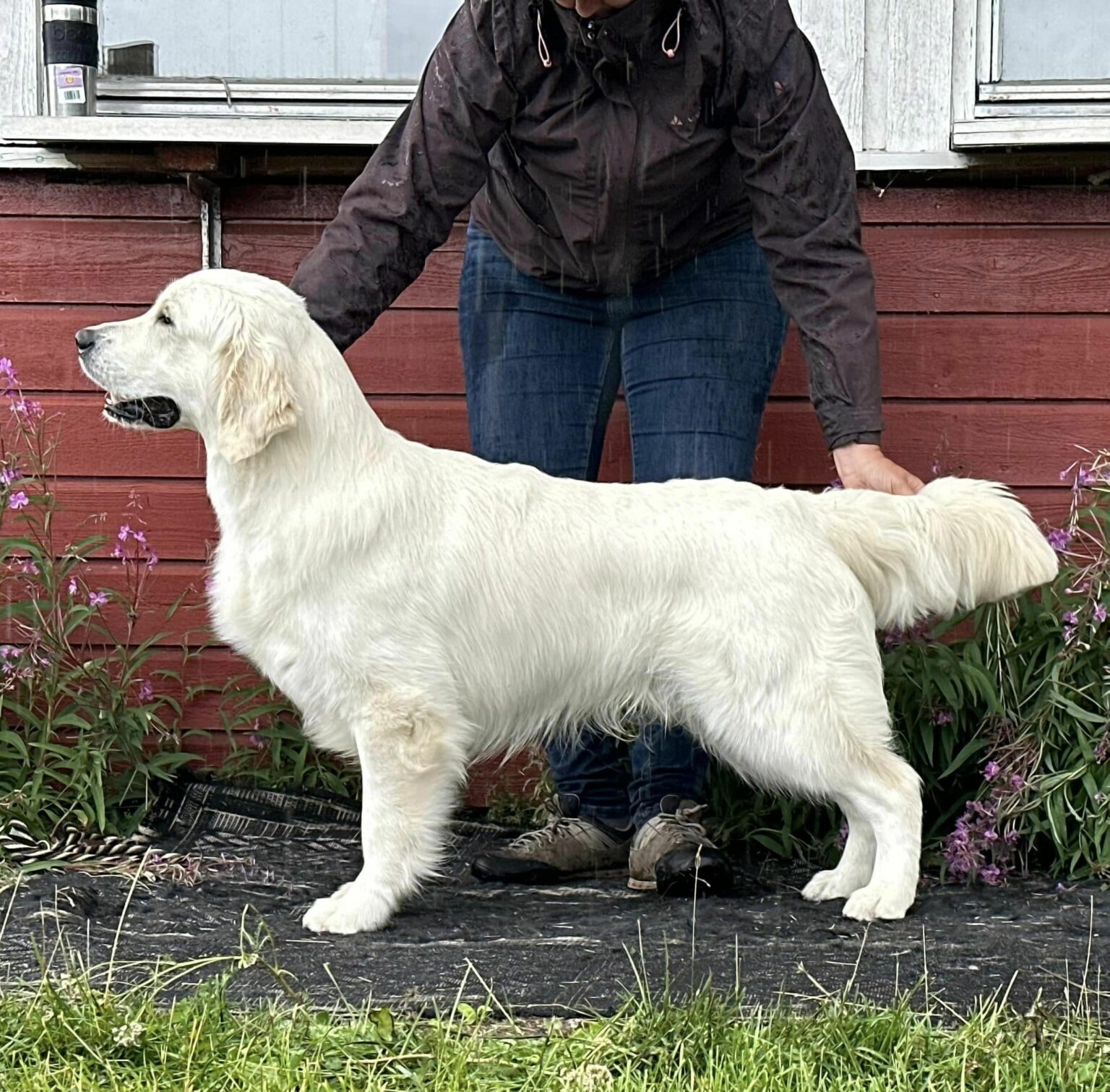 Glitters Viva Underwater Glitters Viva Underwater