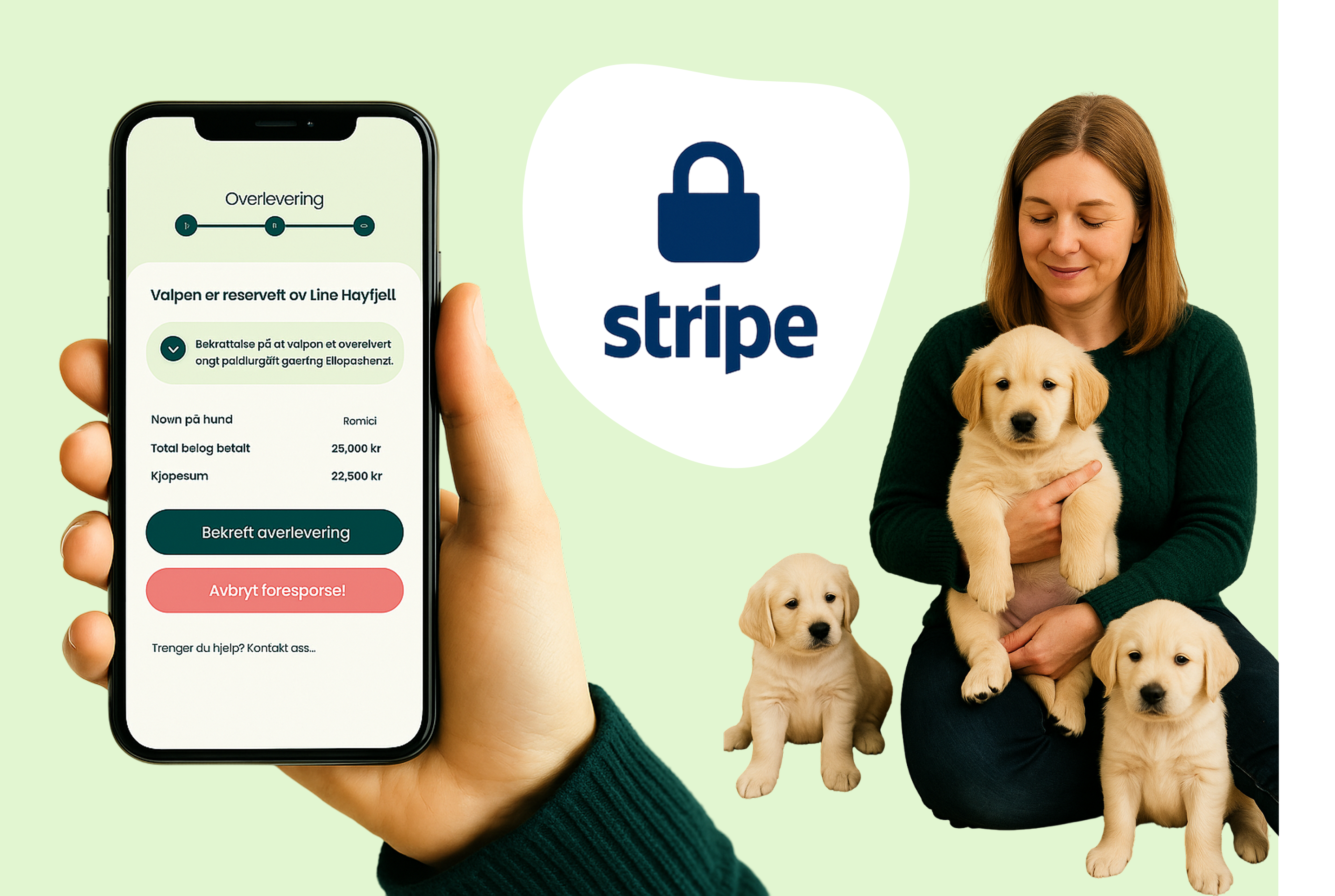 Brukerguide for Trygg betaling - for oppdrettere