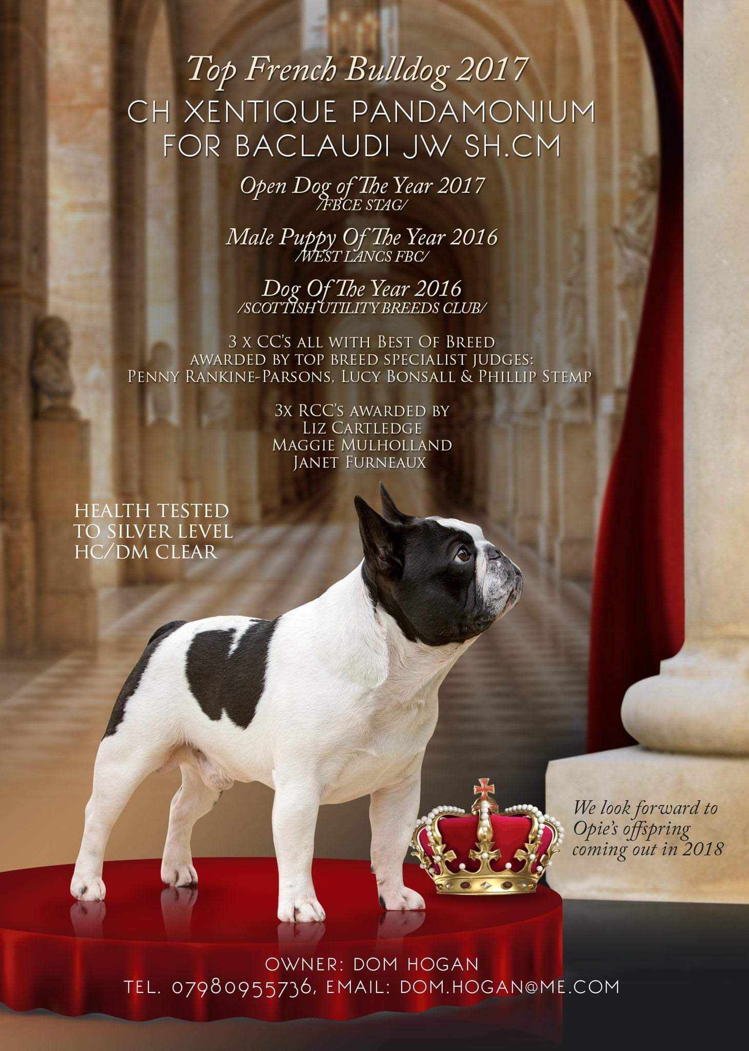 Xentique Pandamonium For Barclaudi JW Xentique Pandamonium For Barclaudi JW