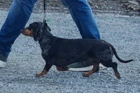 June Perfect Touch From The Sun 