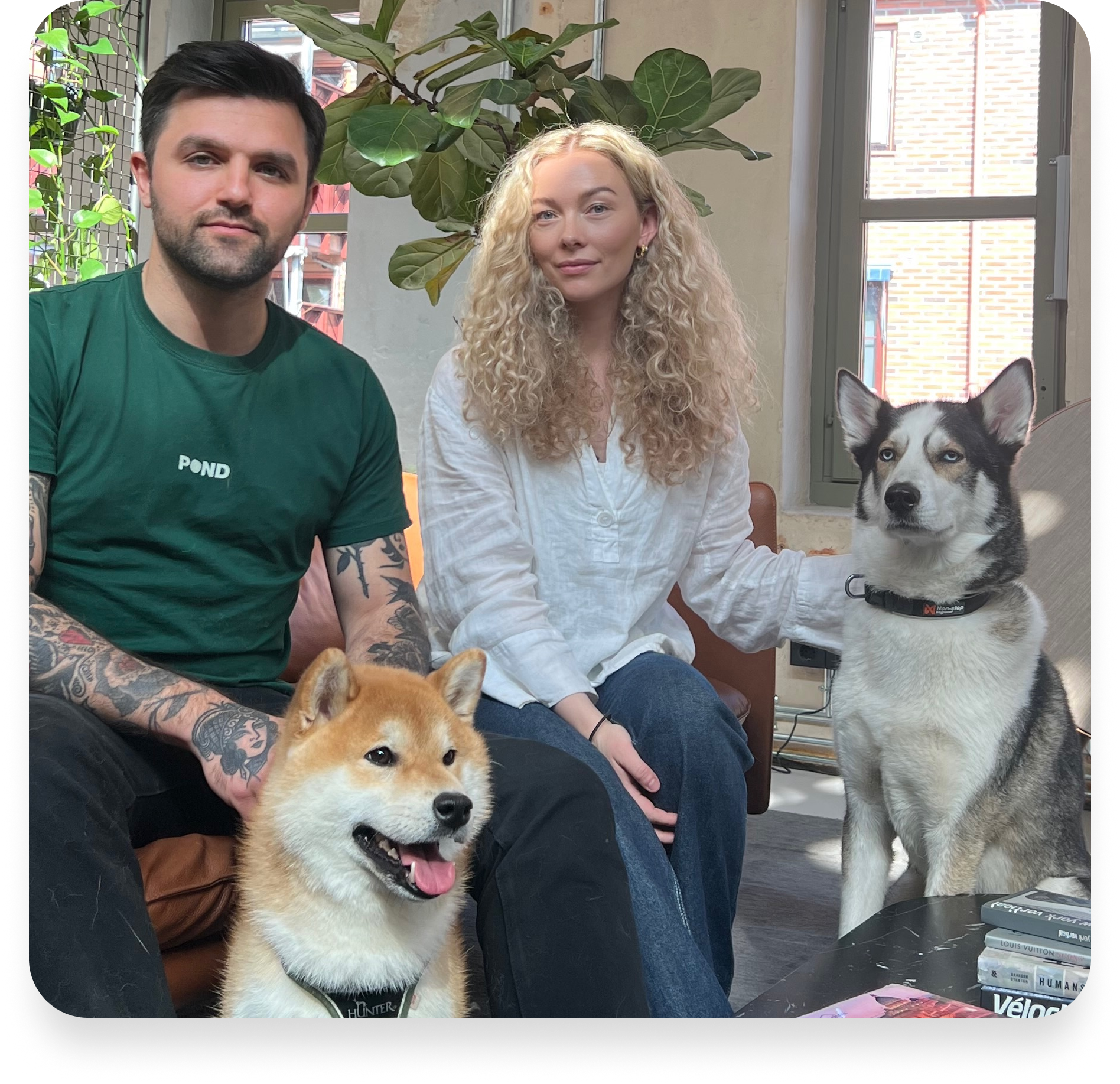 Fra en idé til en plattform for hele hunde-Norge