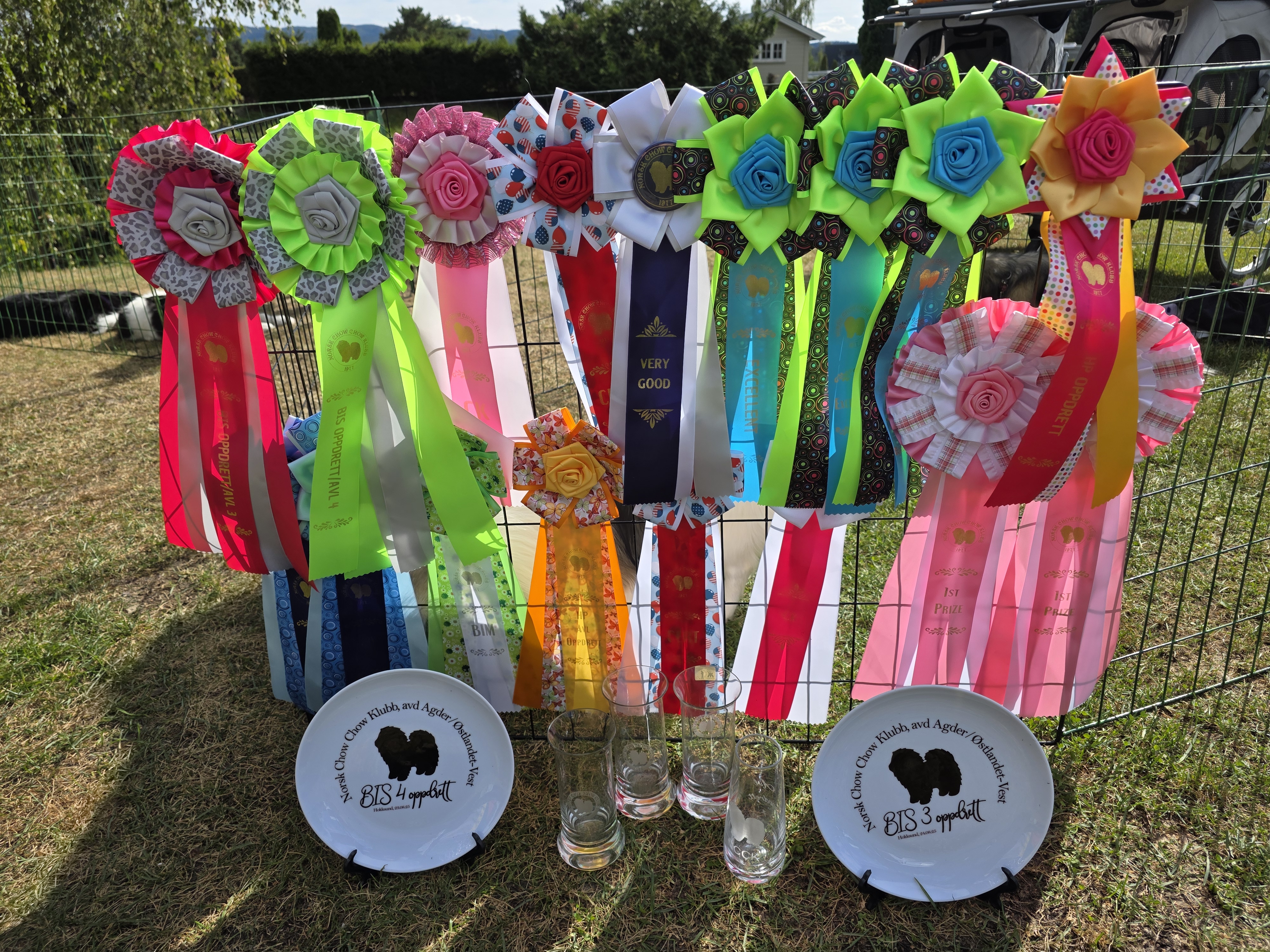 Ingve Flørli Ingve Flørli