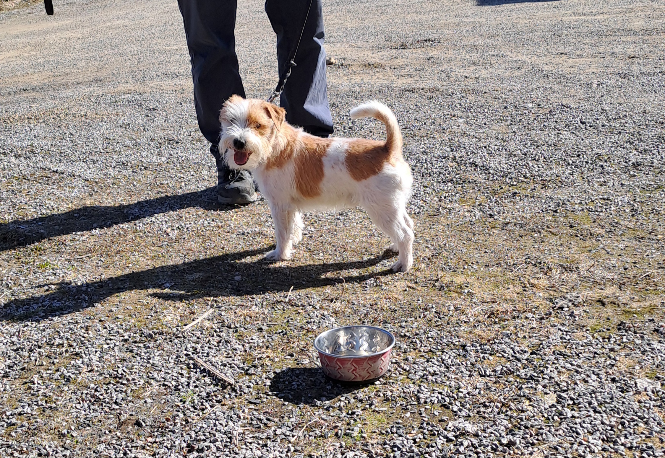 Altolivello's Oh No... Altolivello's Oh No...