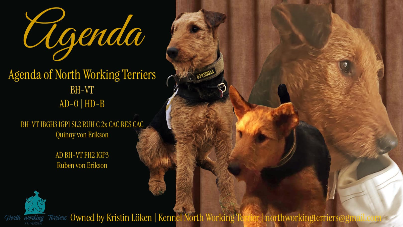 BH-VT Agenda of North working Terriers BH-VT Agenda of North working Terriers