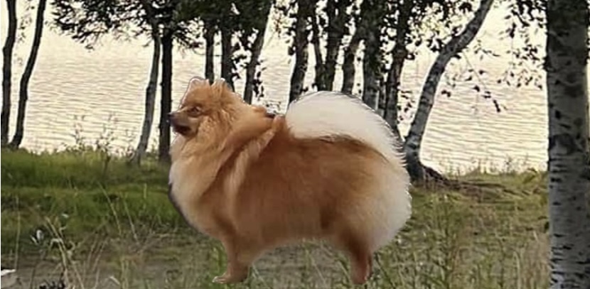 Alfa I Sesam Stasjon Alfa I Sesam Stasjon