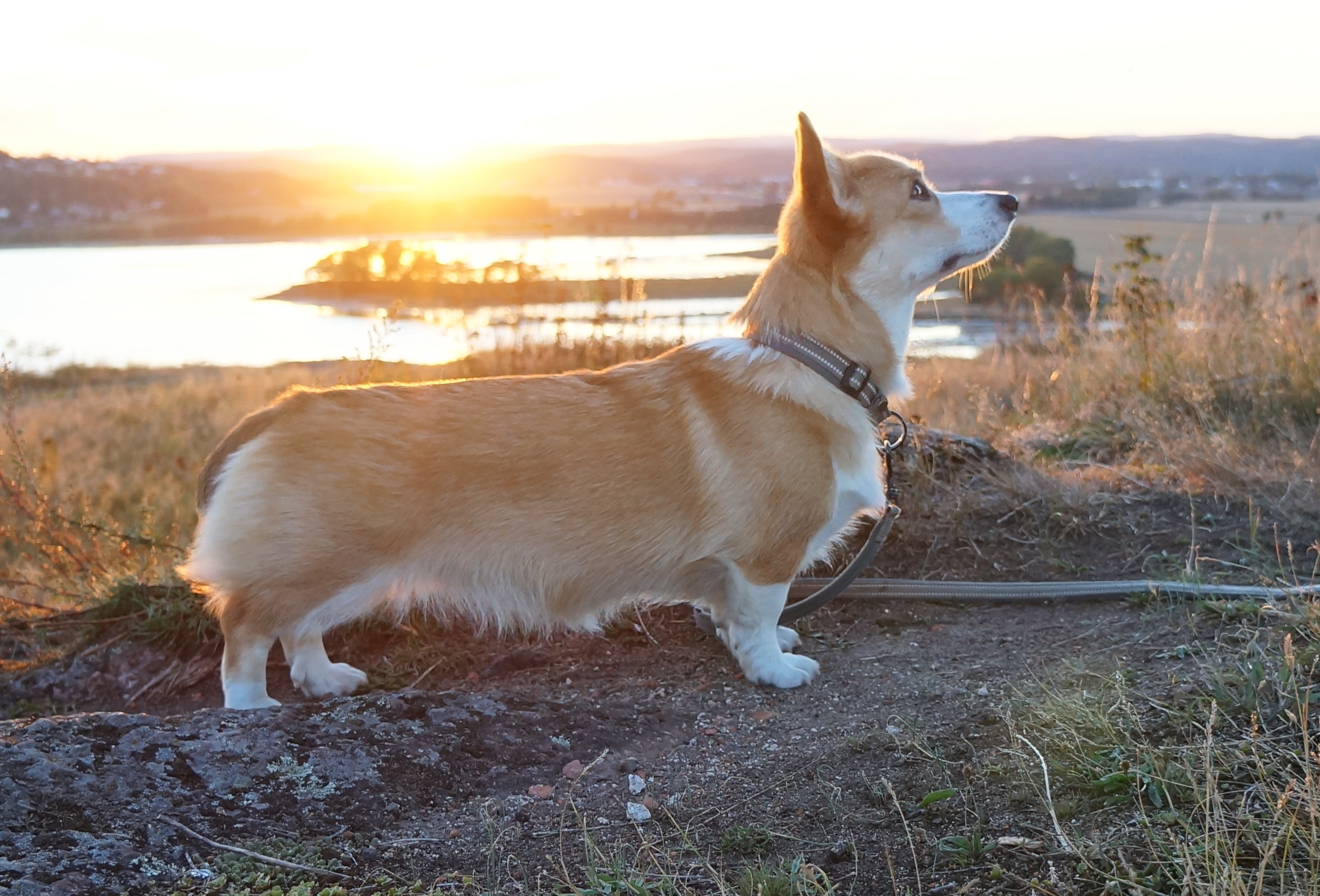 Elisabeth Kjær-Madsen Elisabeth Kjær-Madsen