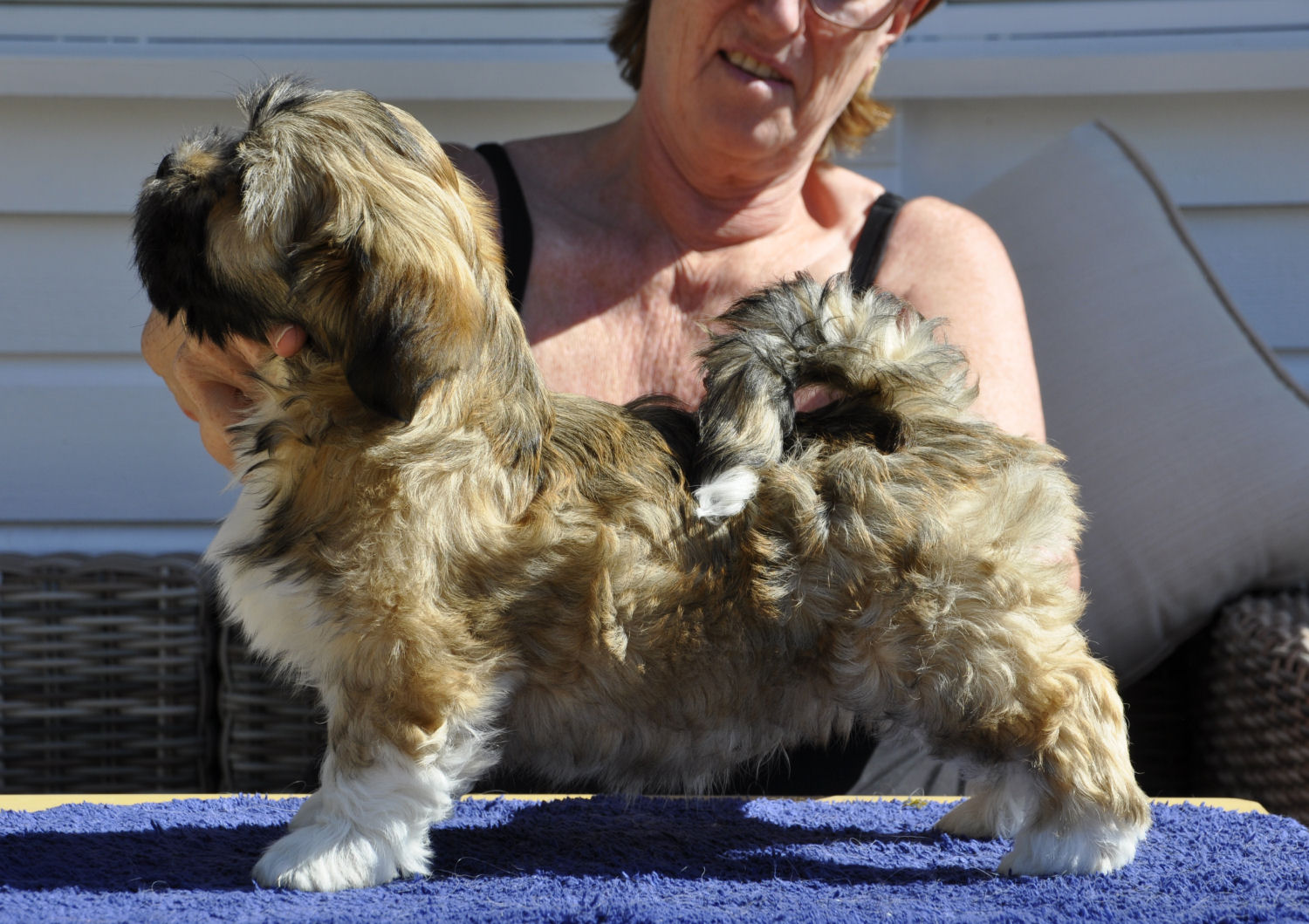 Panaphia's Any Man Of Mine Panaphia's Any Man Of Mine