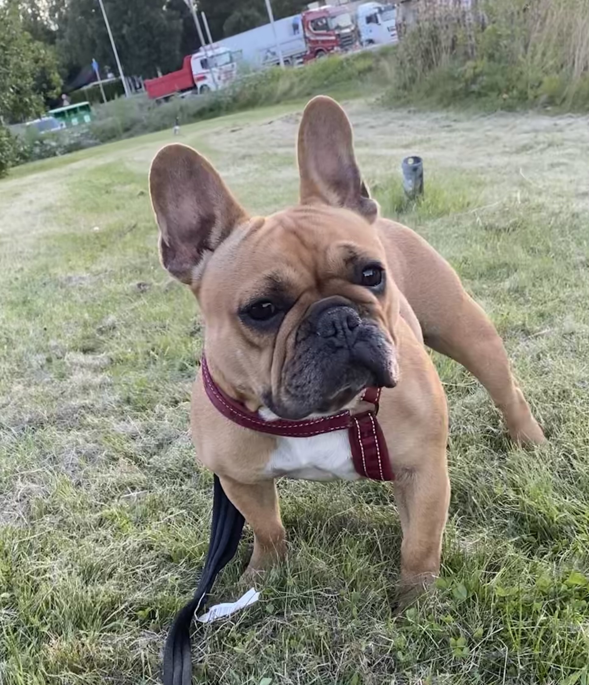 Ratlers Clara Ratlers Clara