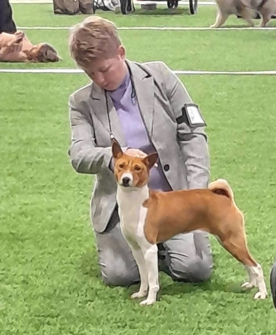 Love is in the air av Chimlin Love is in the air av Chimlin