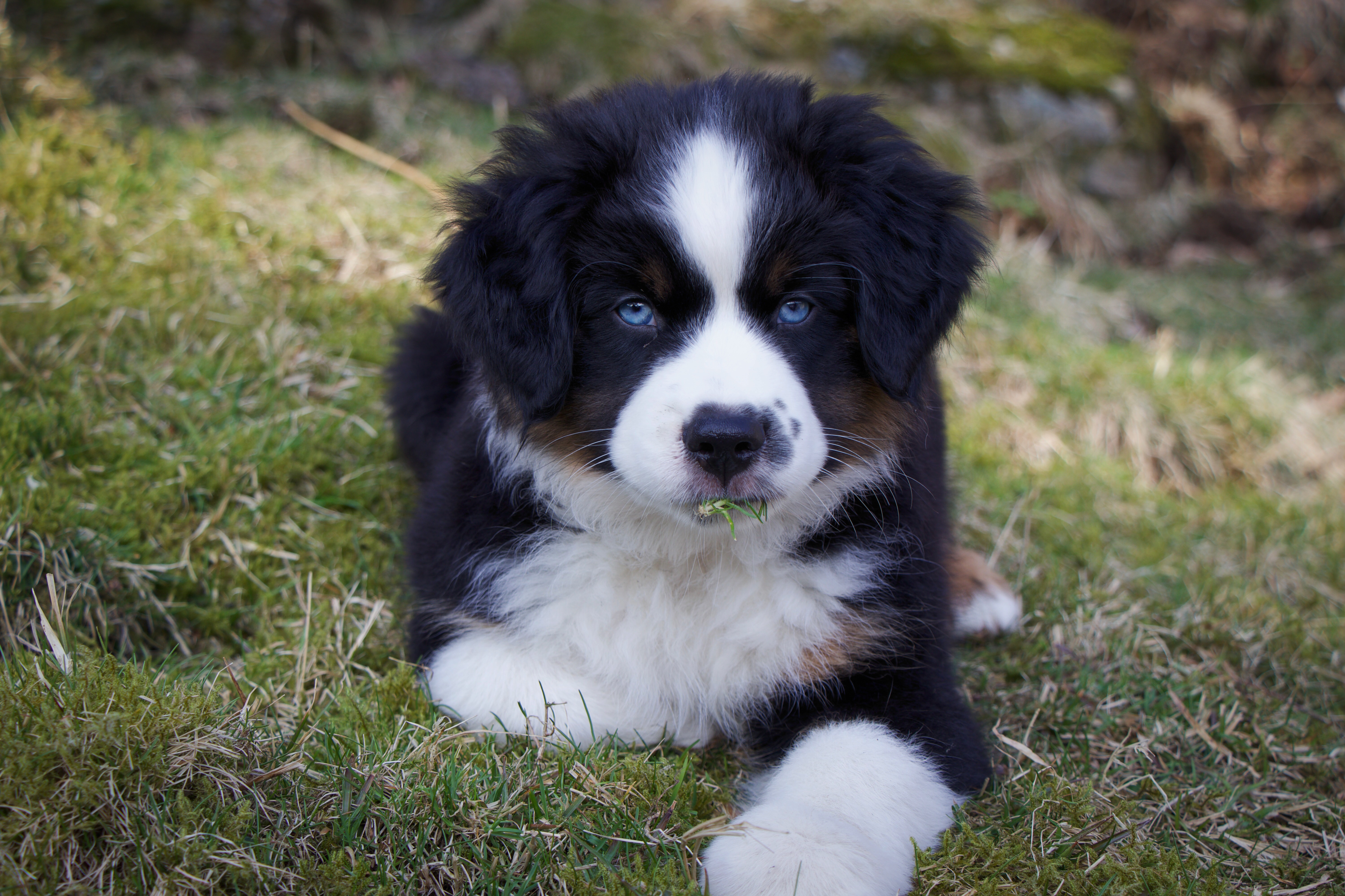 Gracious Mind Gracious Mind