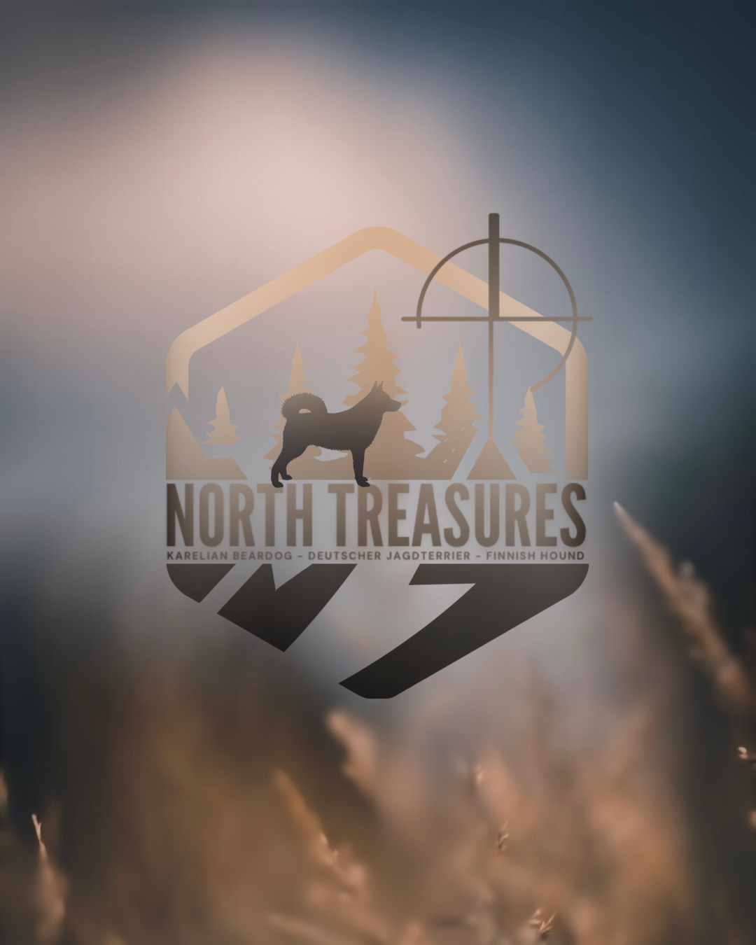 North Treasures