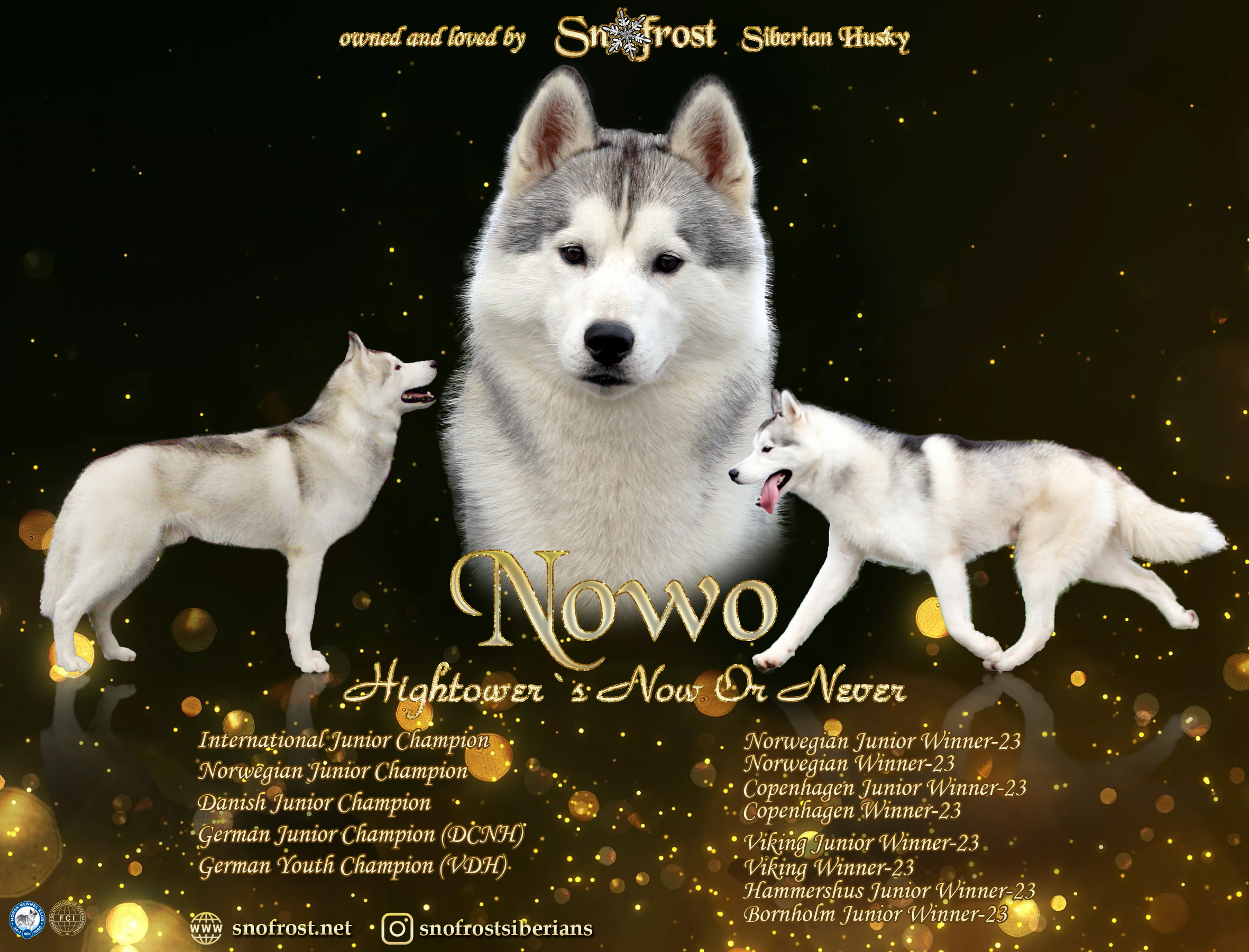 Hightower's Now Or Never Hightower's Now Or Never