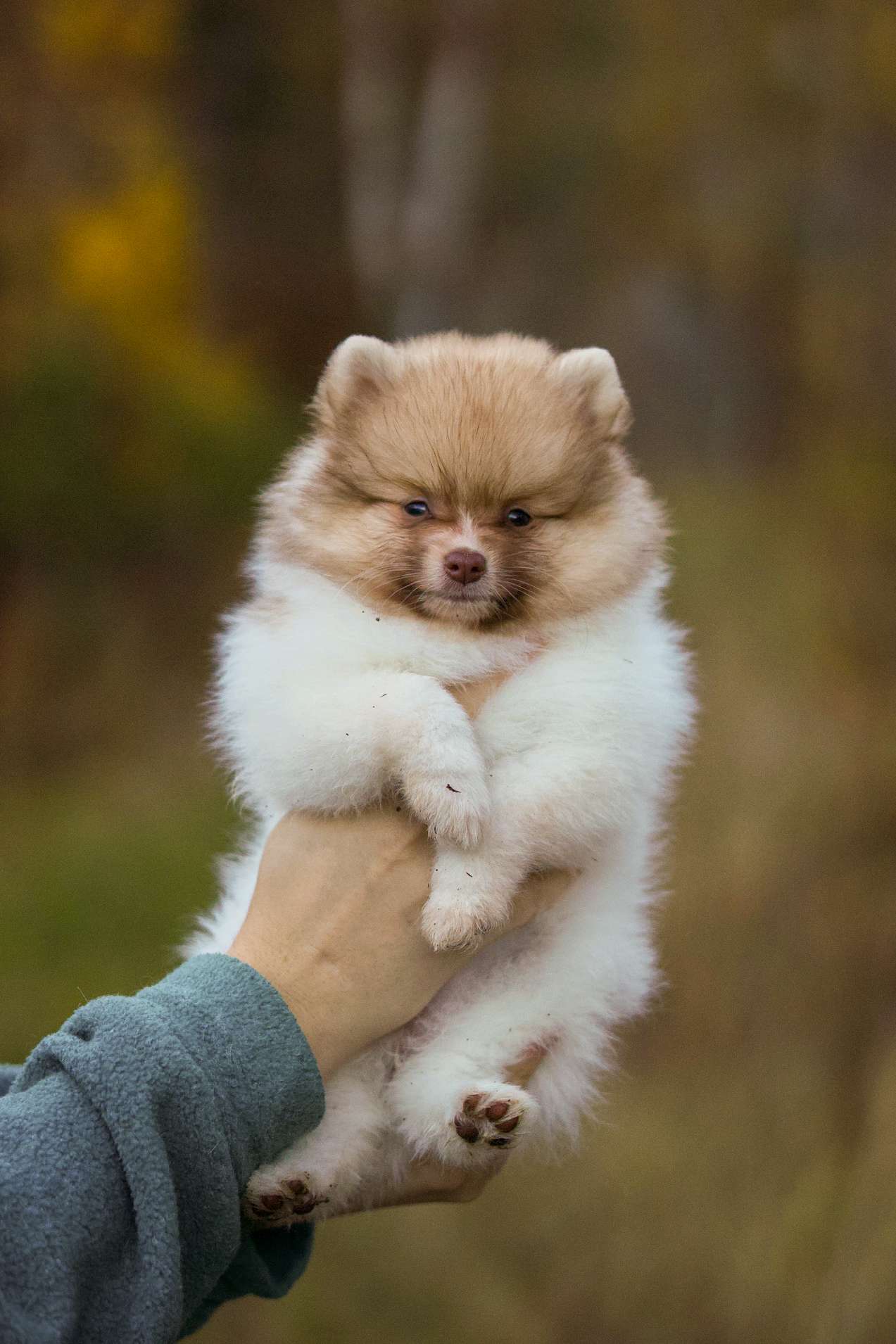 Ever Been Bit? Ever Been Bit?