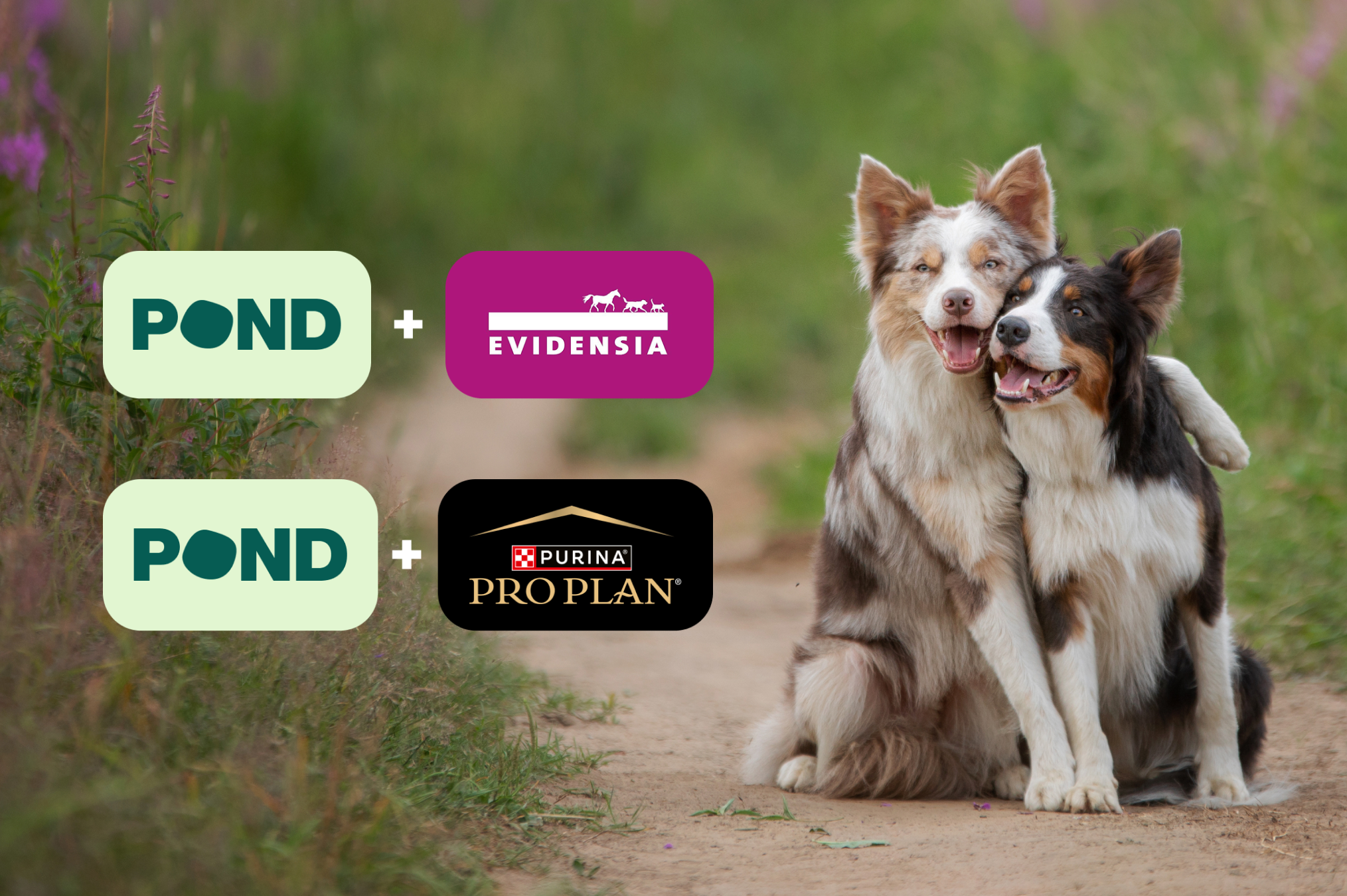 Pond + Purina + Evidensia Pond + Purina + Evidensia