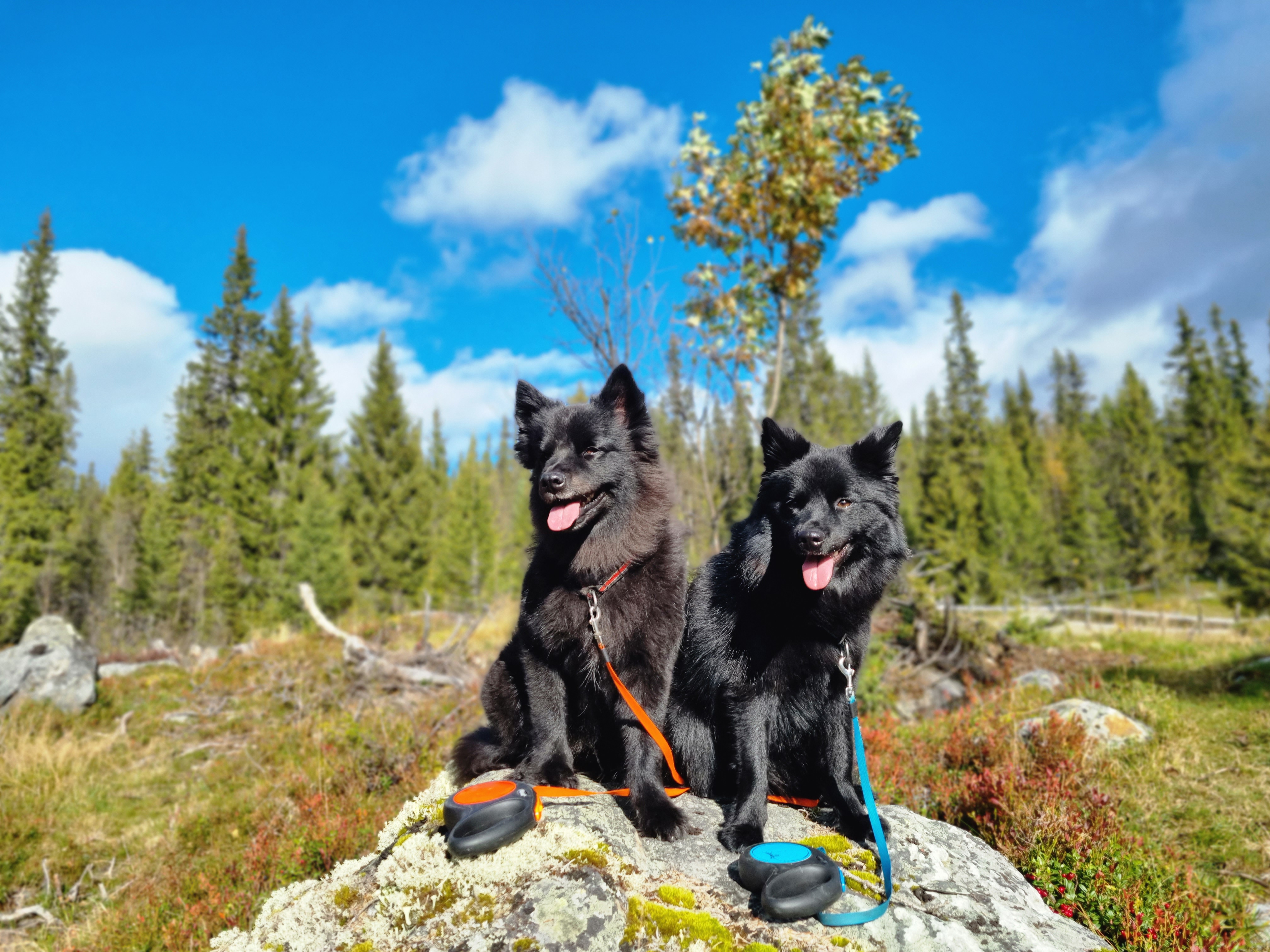 Guri Myrstuen Guri Myrstuen