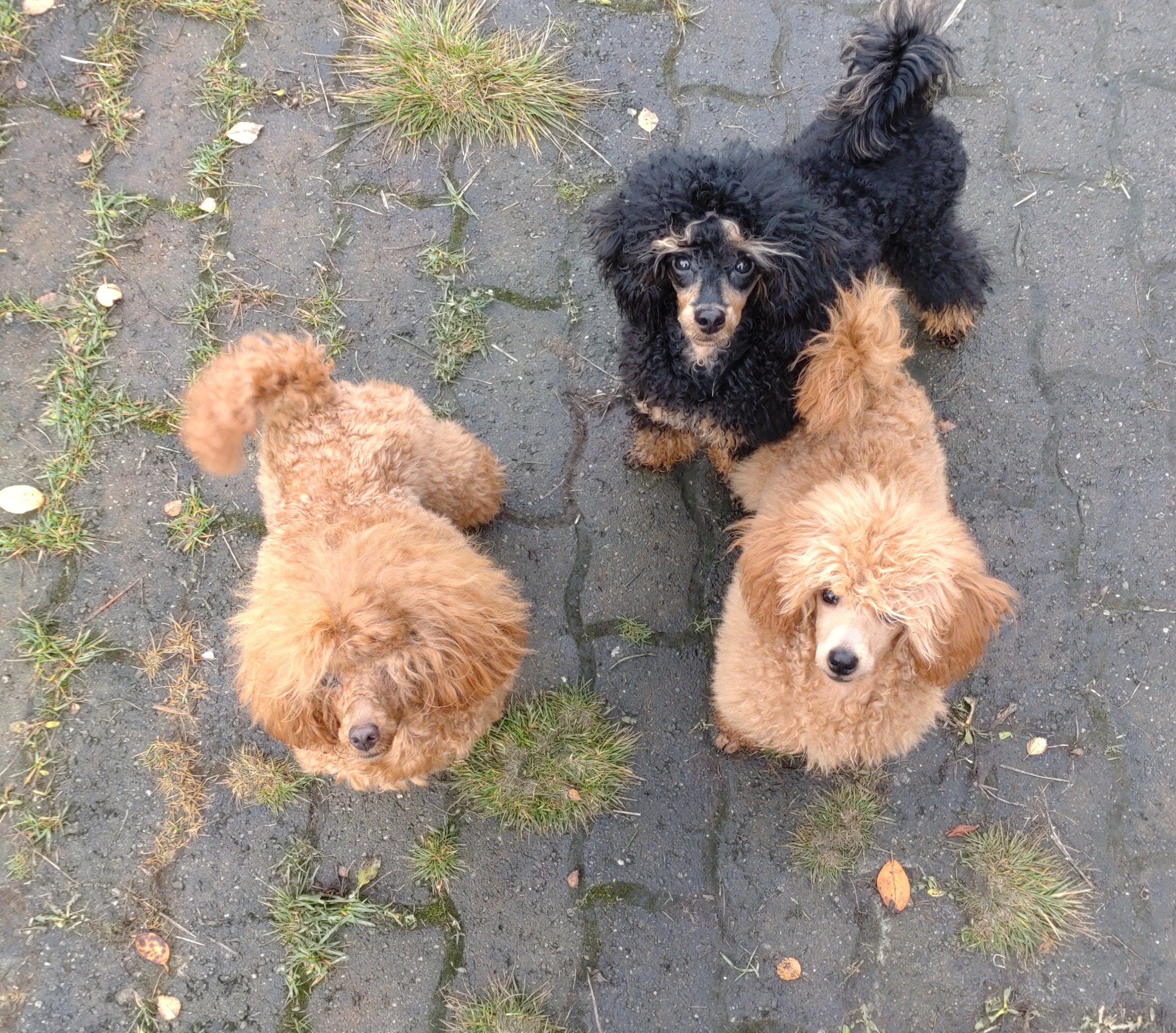 It's Miracles It's Miracles