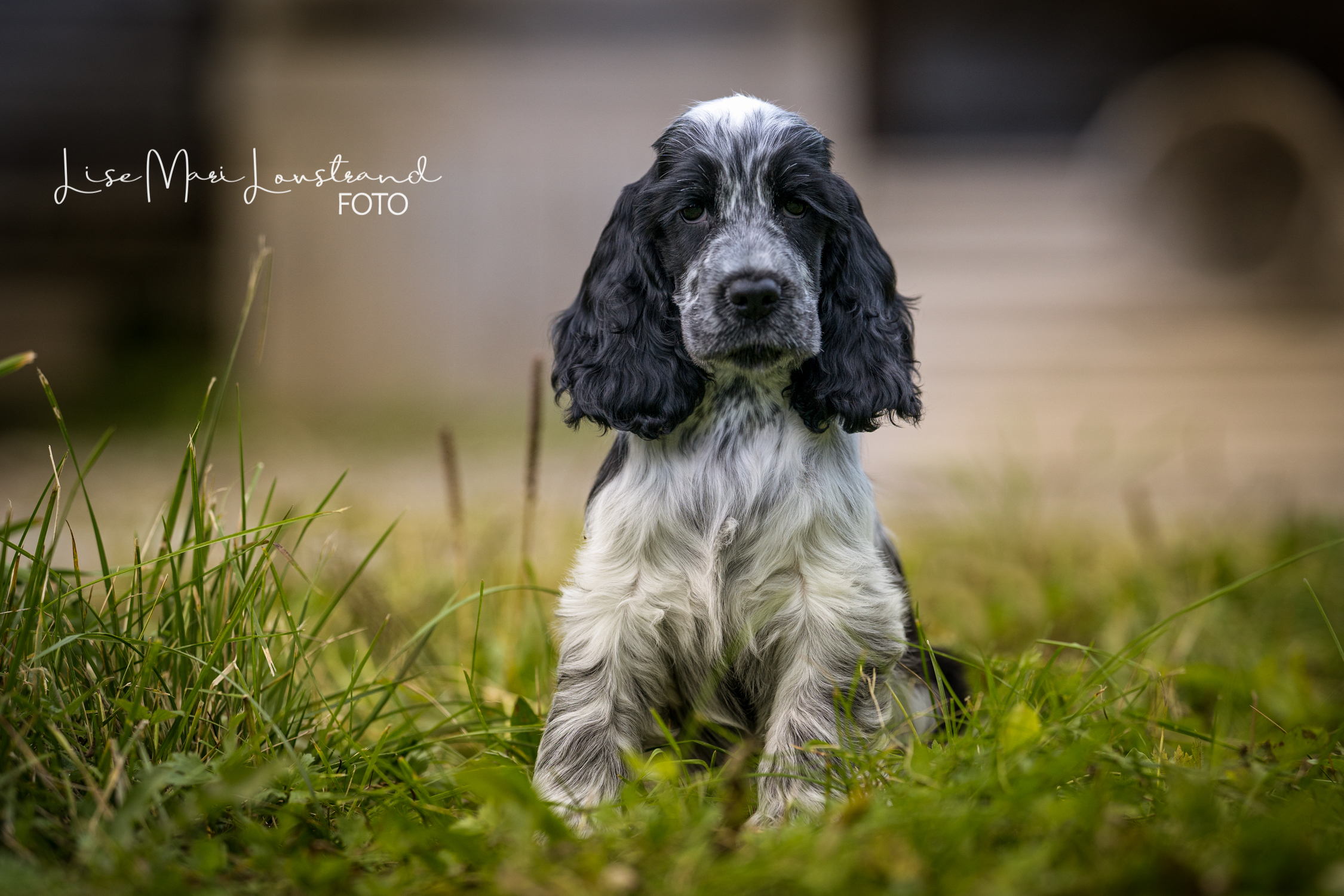 Act of Joy Act of Joy