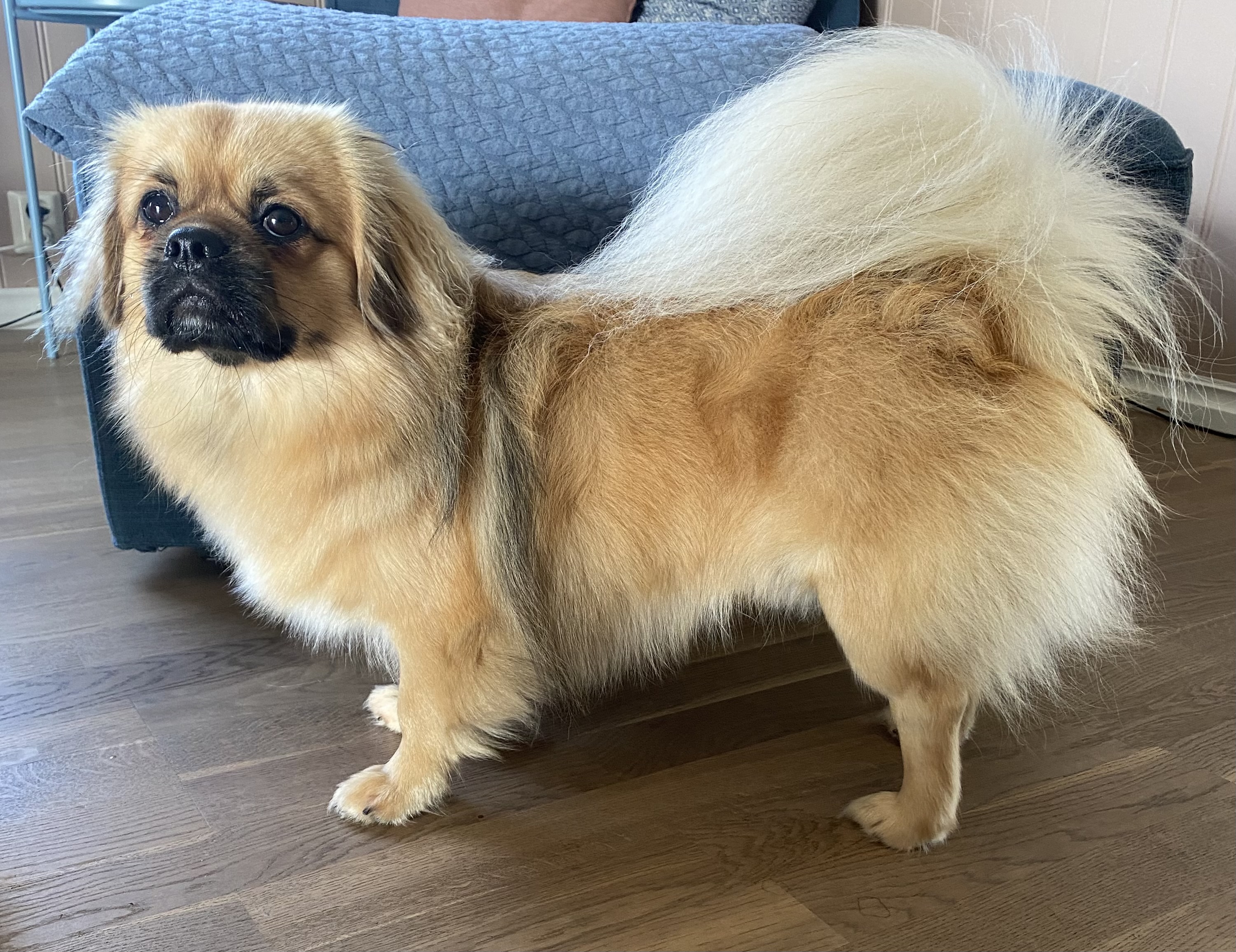 Follow i like sunshine Follow i like sunshine