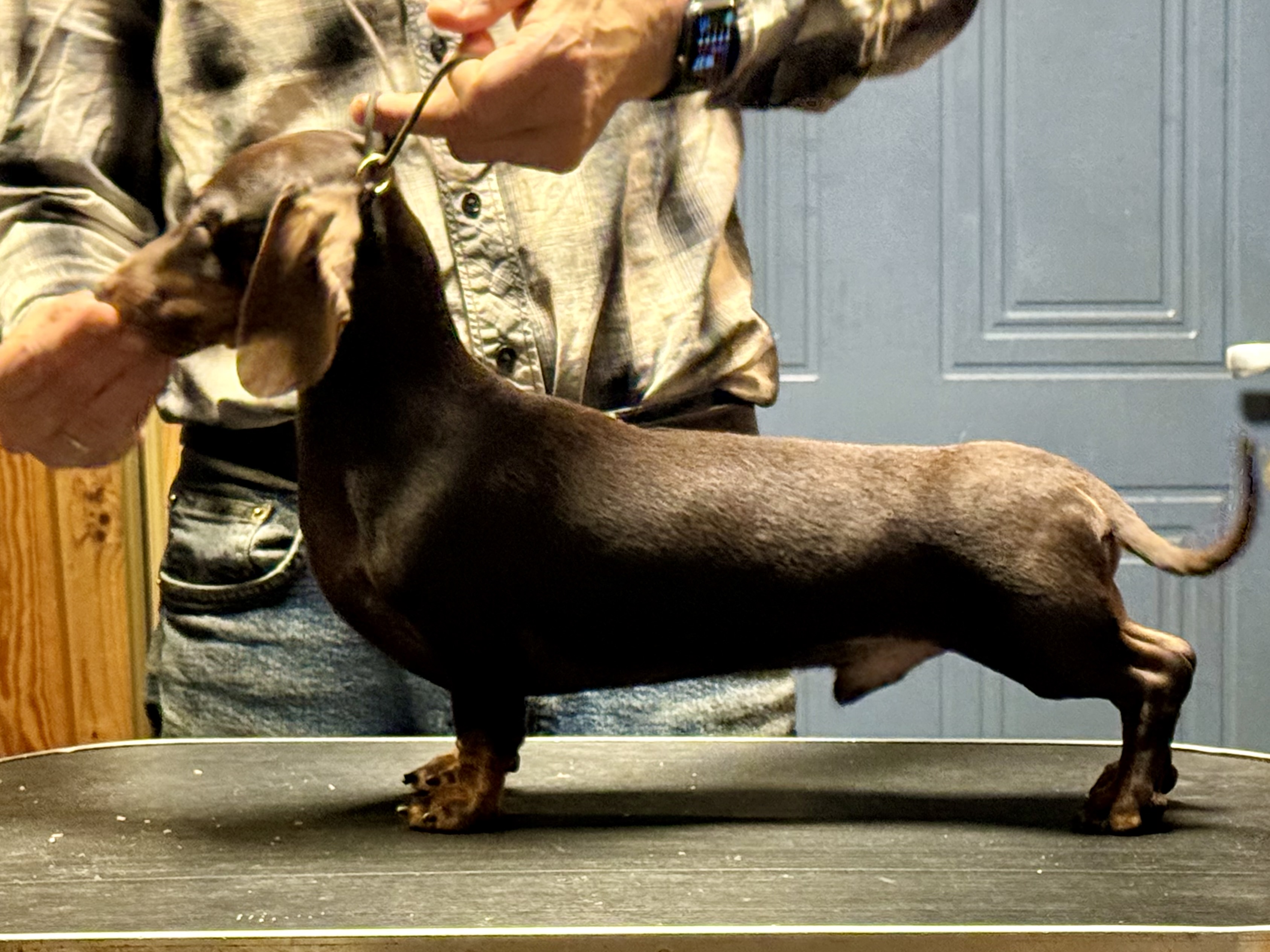 Minstemann’s Smash Minstemann’s Smash