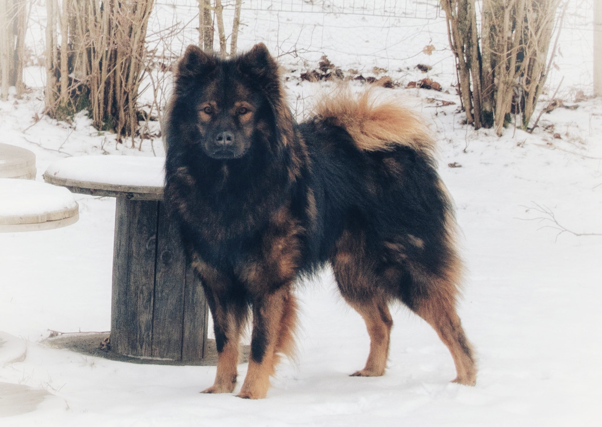 Moje Hammarberg Av Tutta La Vita