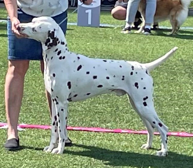 Busby's Quality Story Never Ends