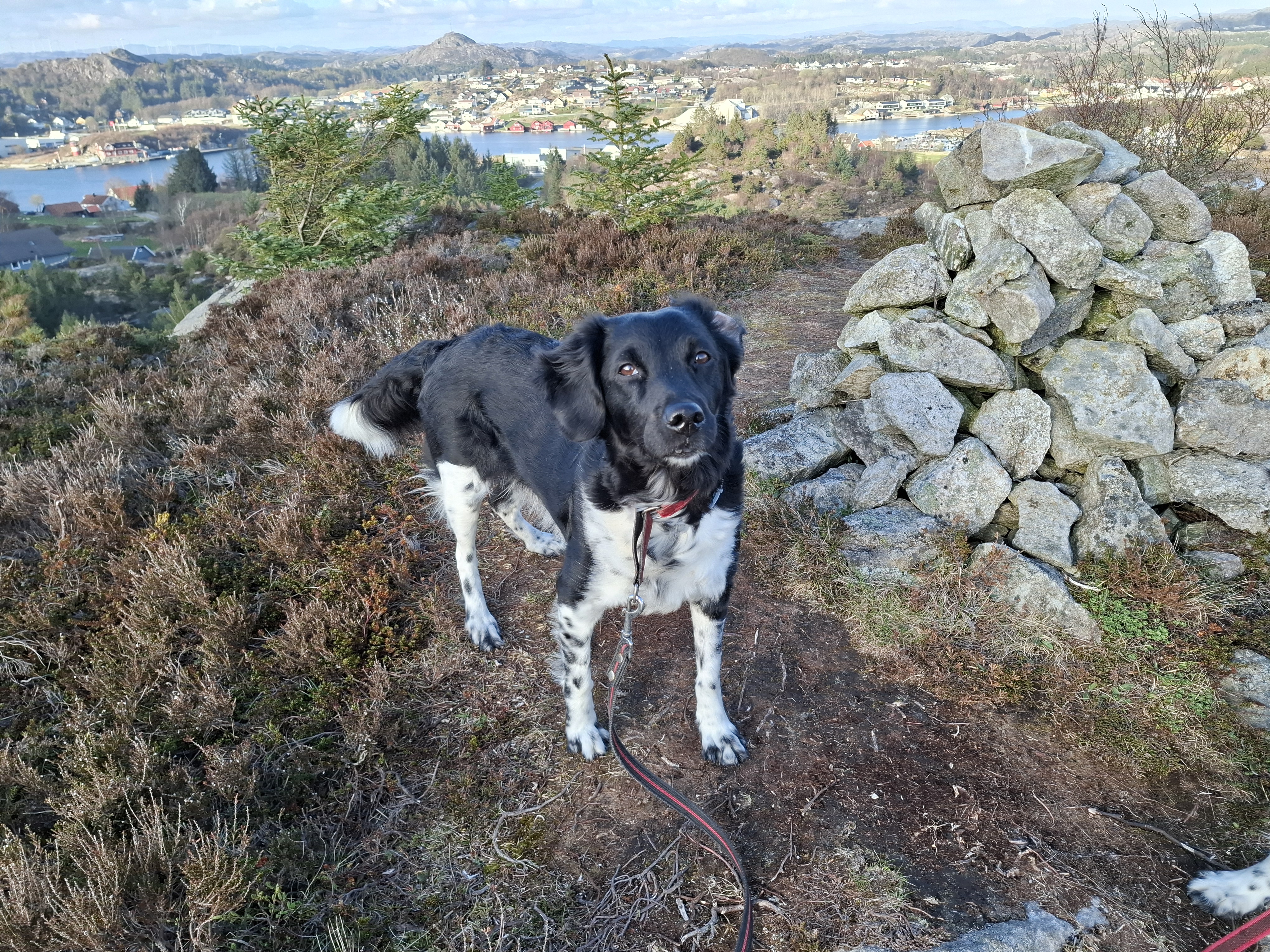 Anortositts Dinthe Anortositts Dinthe