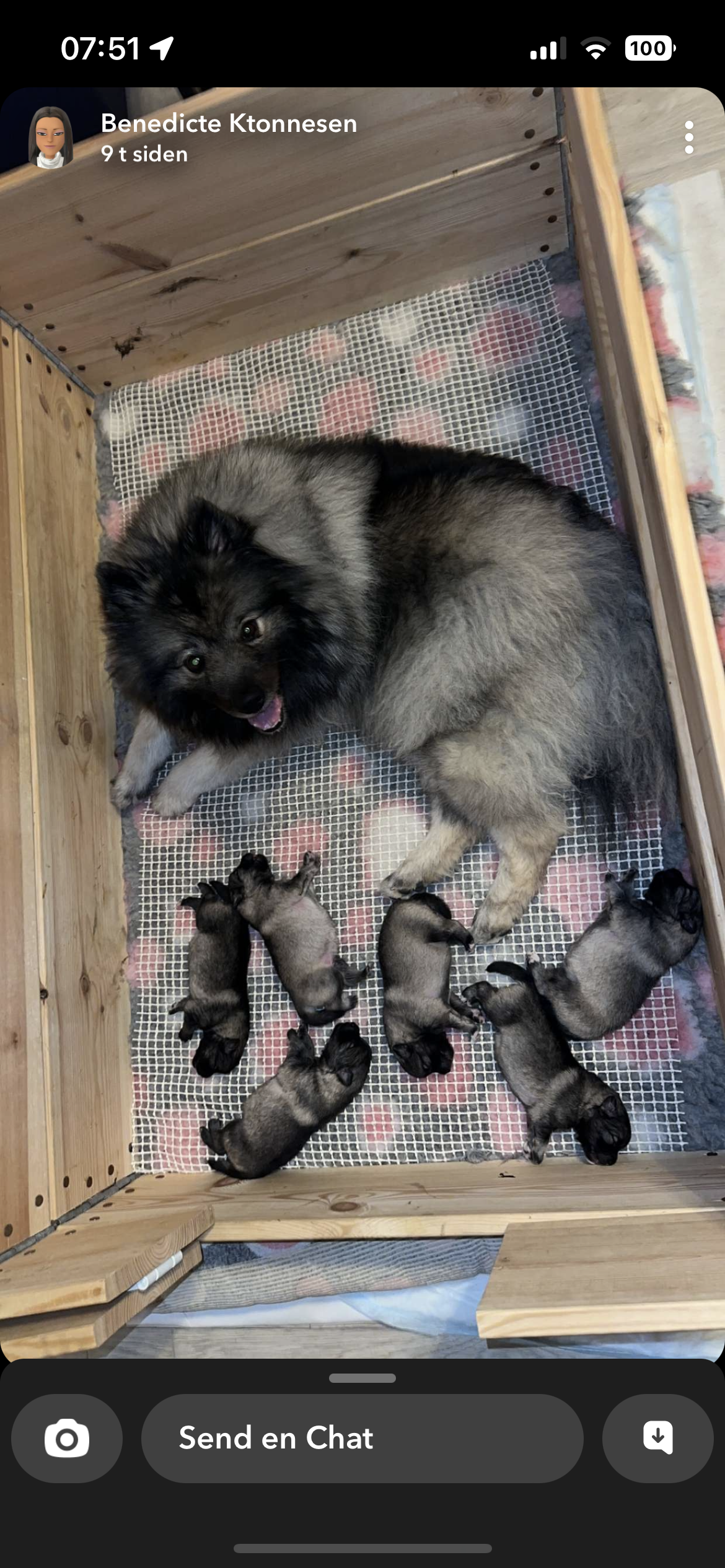 Divny Drug Domisolka