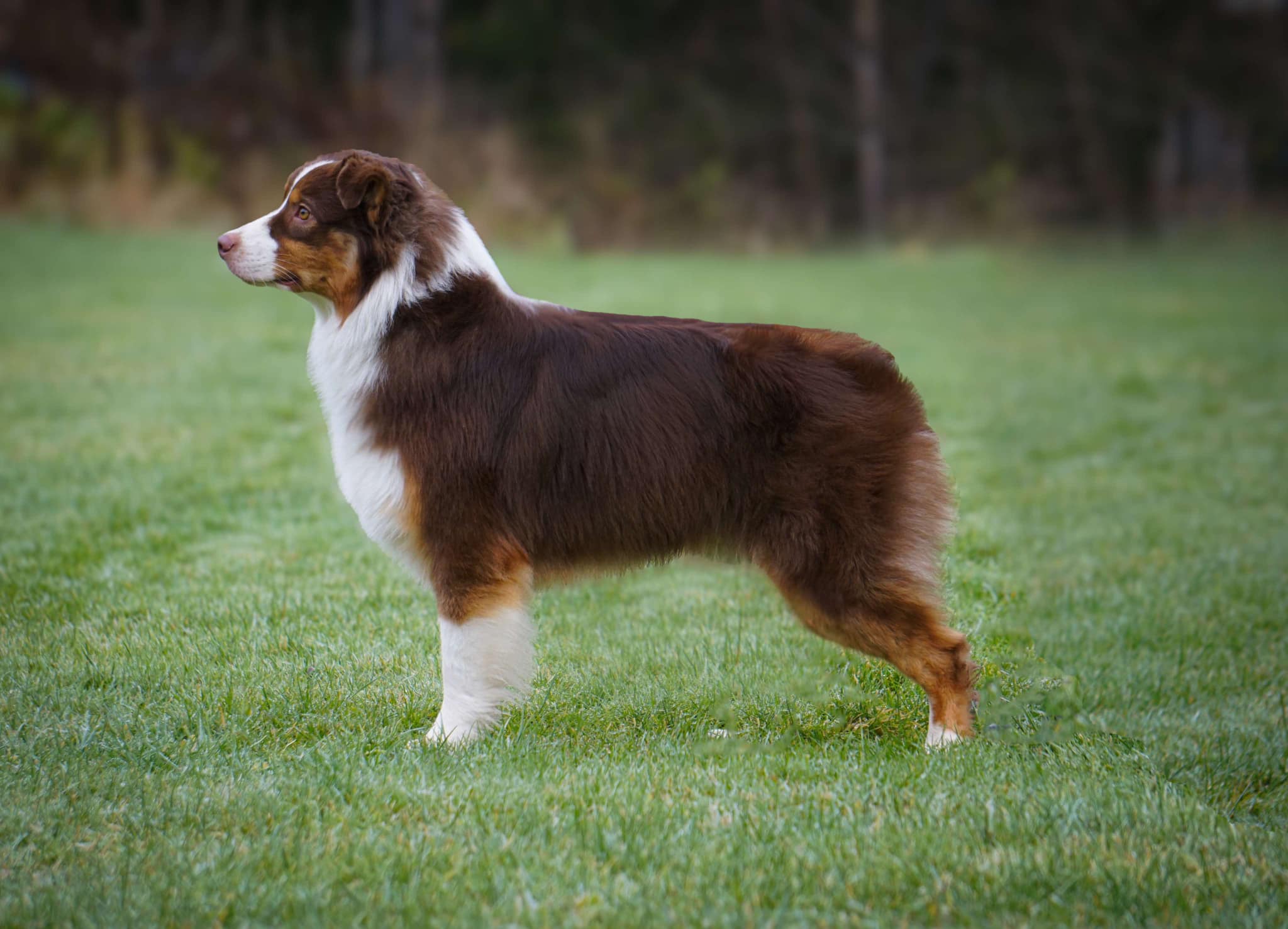 Heavenly Revenges Planning Ahead 