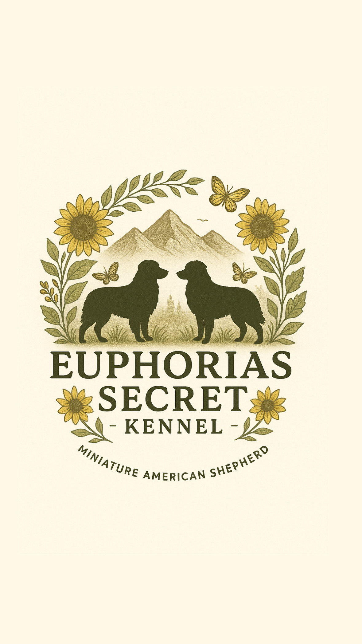 Vanja Gillerstedt Vanja Gillerstedt