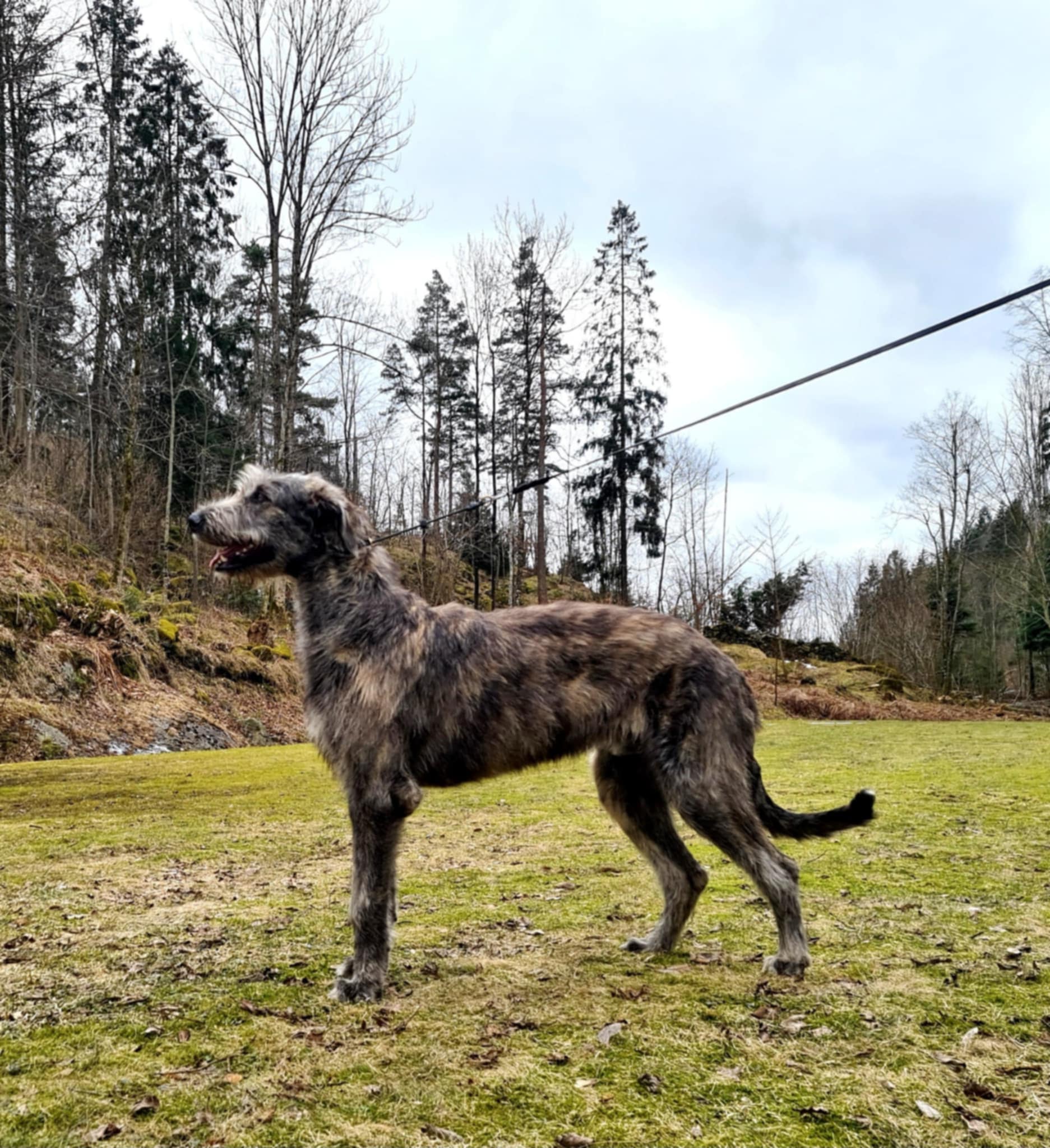 Piter O'Tul Iz Belykh Gyaurov Piter O'Tul Iz Belykh Gyaurov