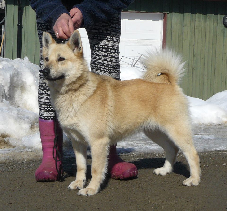 Bernegården Bernegården