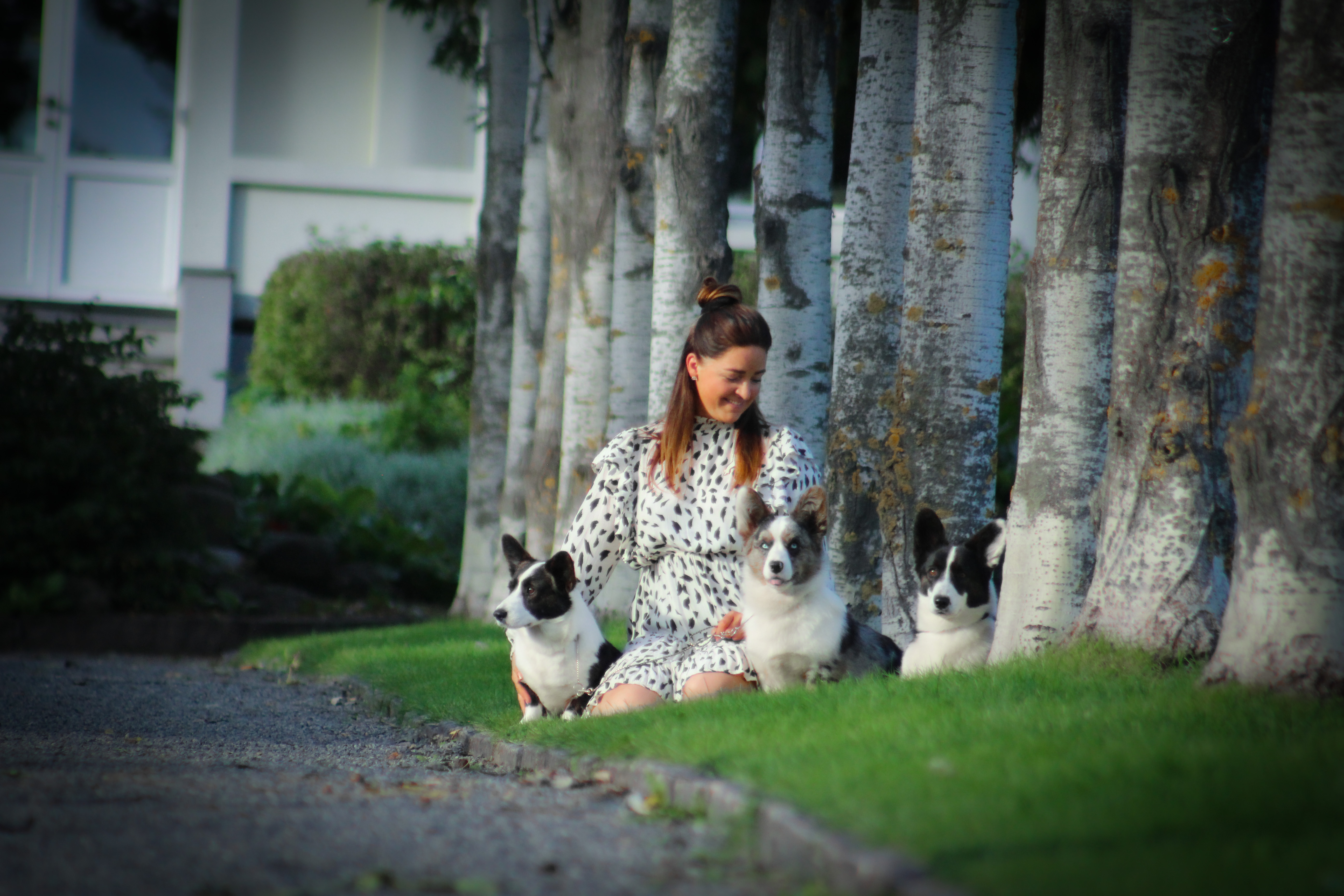 Dantyllew Exclusive Dantyllew Exclusive