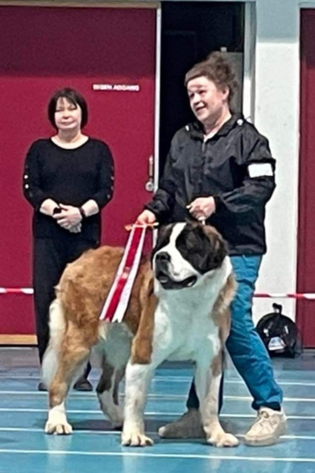 Mammutz Love Oberst-far’s gutt Mammutz Love Oberst-far’s gutt