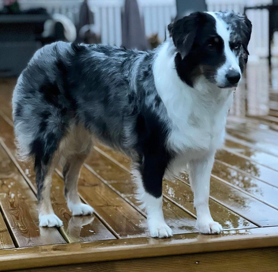 Moonbaby's In The Air Tonight Moonbaby's In The Air Tonight