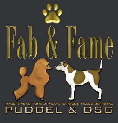 Fab & Fames Fab & Fames