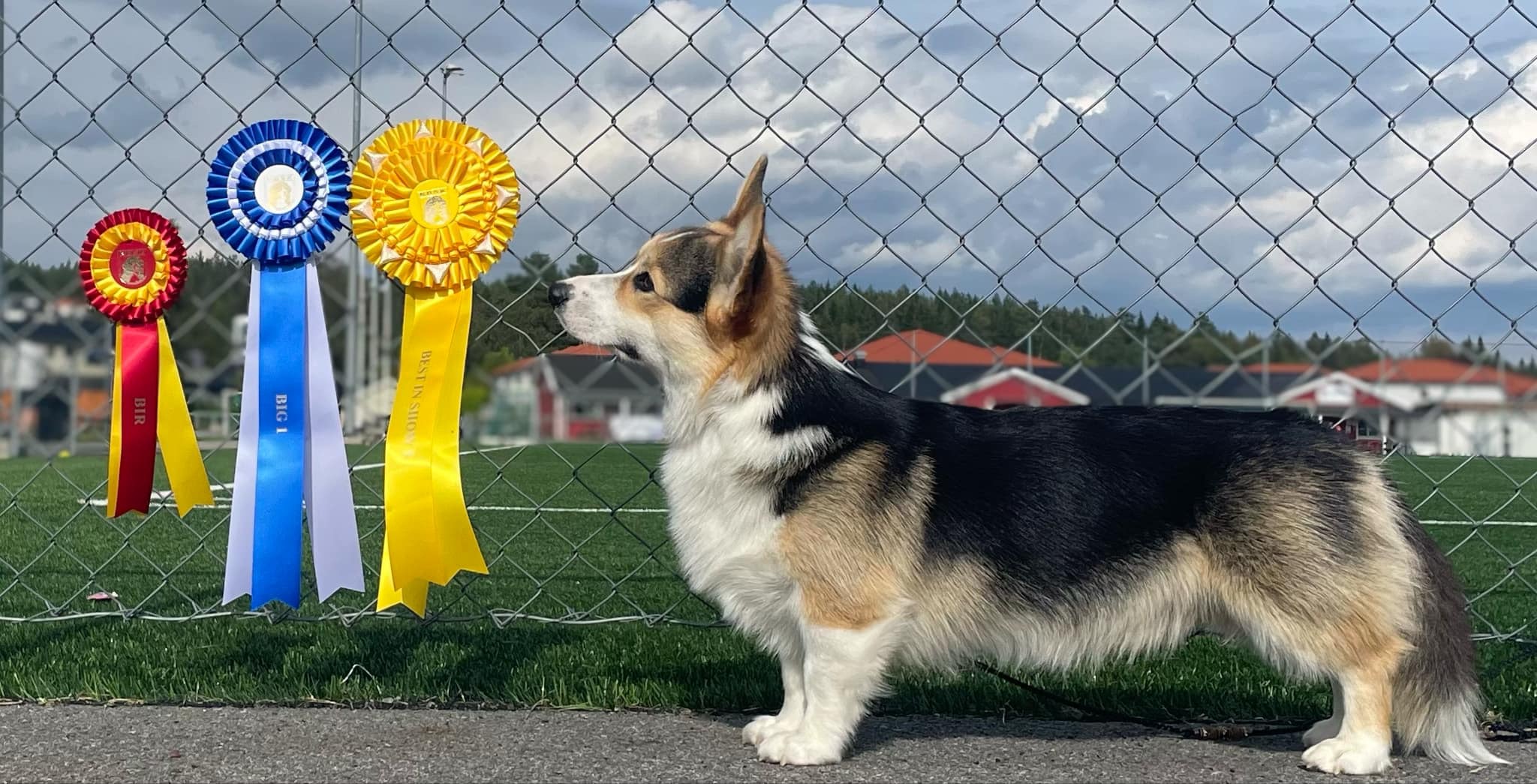 King’s Throne Super Mario