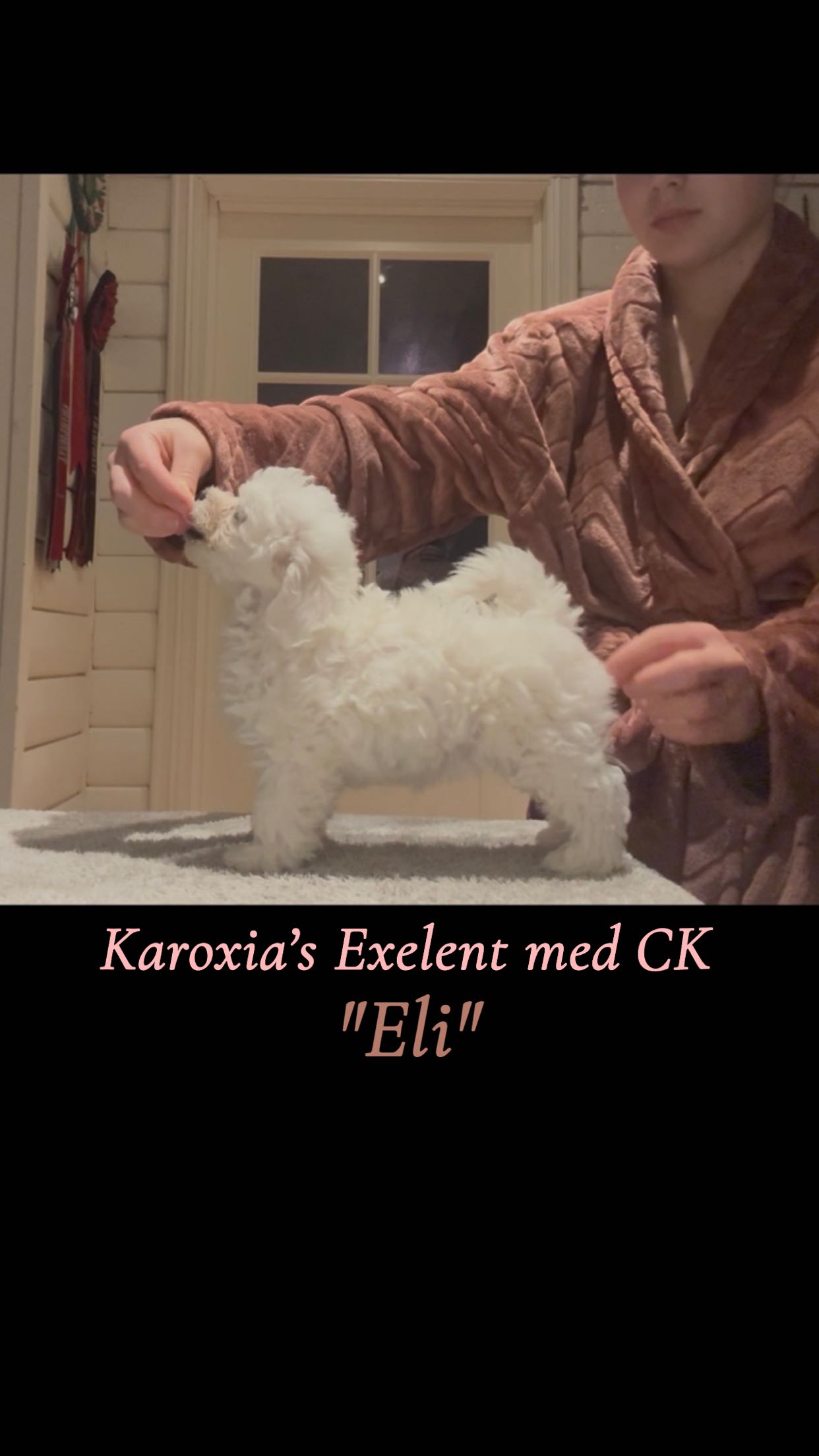 Karoxia Excellent med CK "Eli" Karoxia Excellent med CK "Eli"