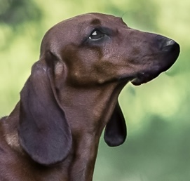 Geir og Ann-Karin Milne Geir og Ann-Karin Milne