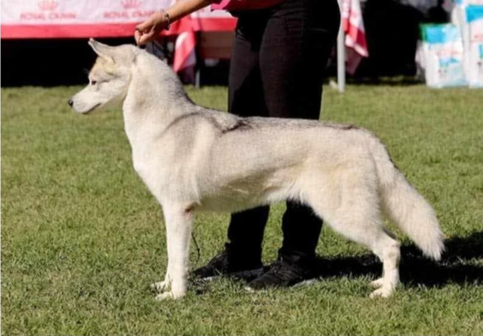 Angel Of Mine Maurora