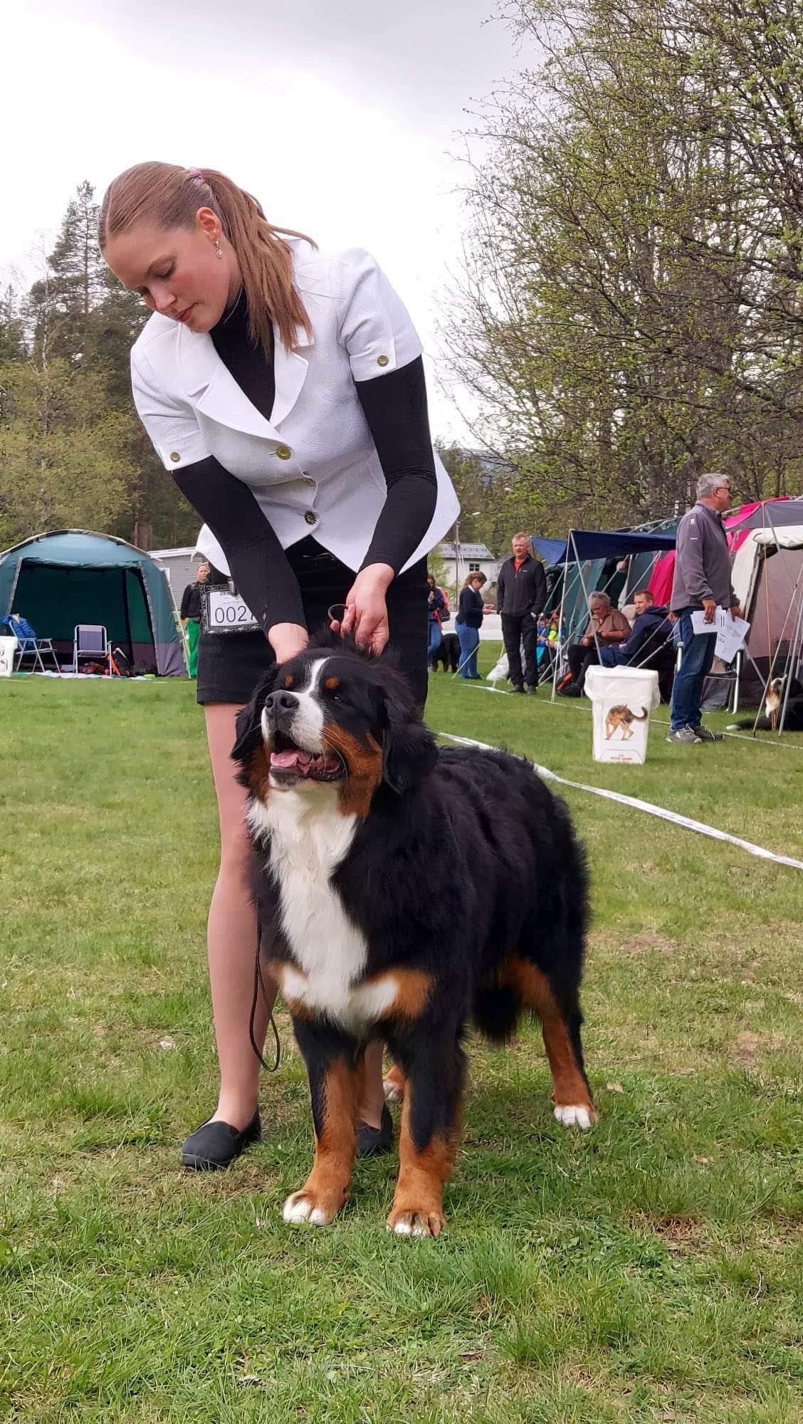 Ihlevoll´s Aldeles Nydelig Ihlevoll´s Aldeles Nydelig