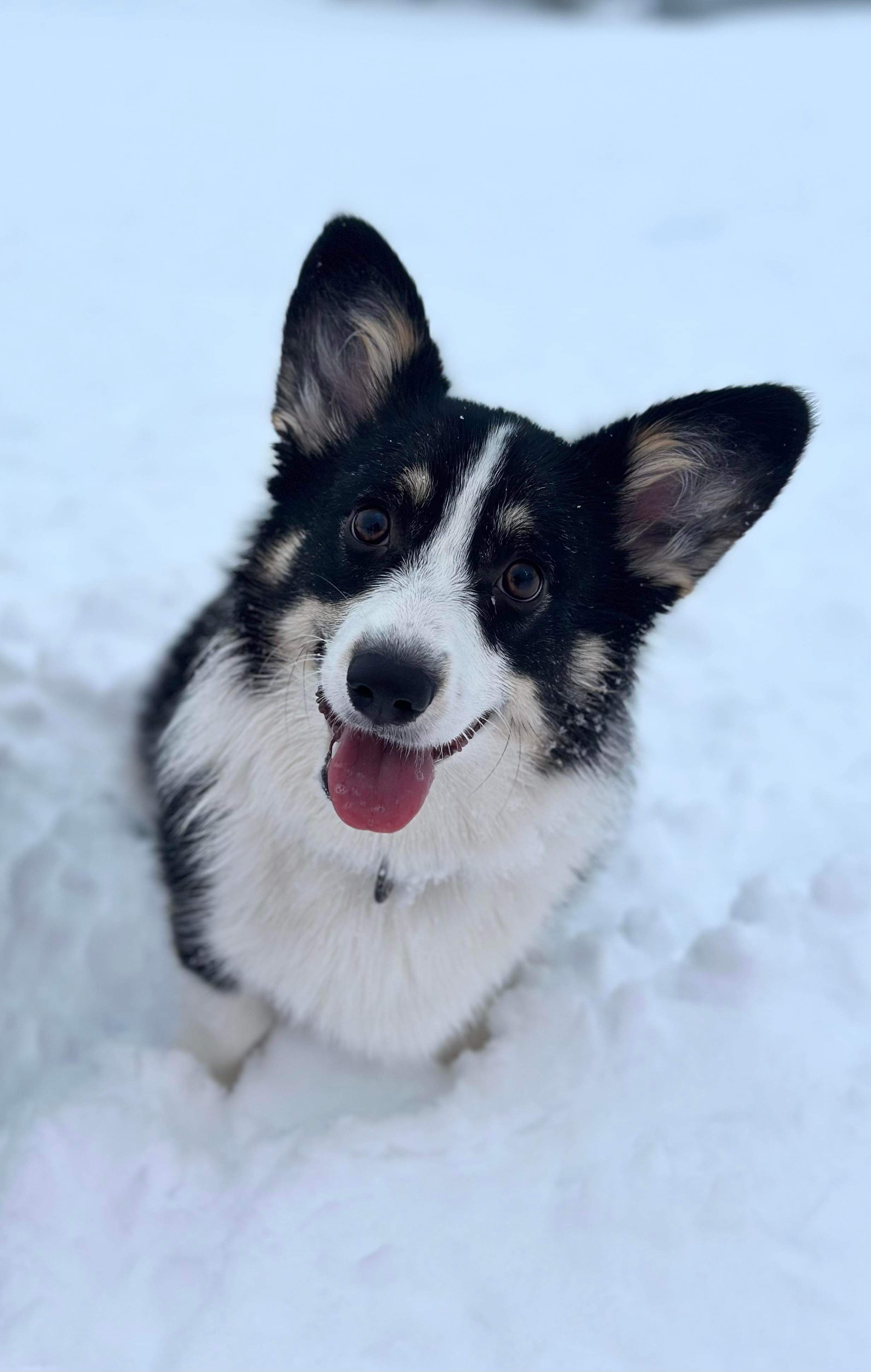 Unique av Lee Armand Unique av Lee Armand