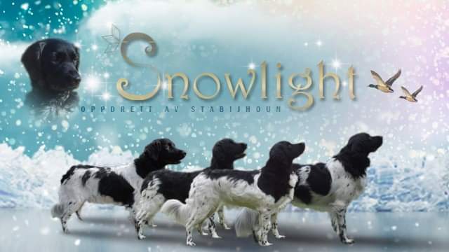 Snowlight