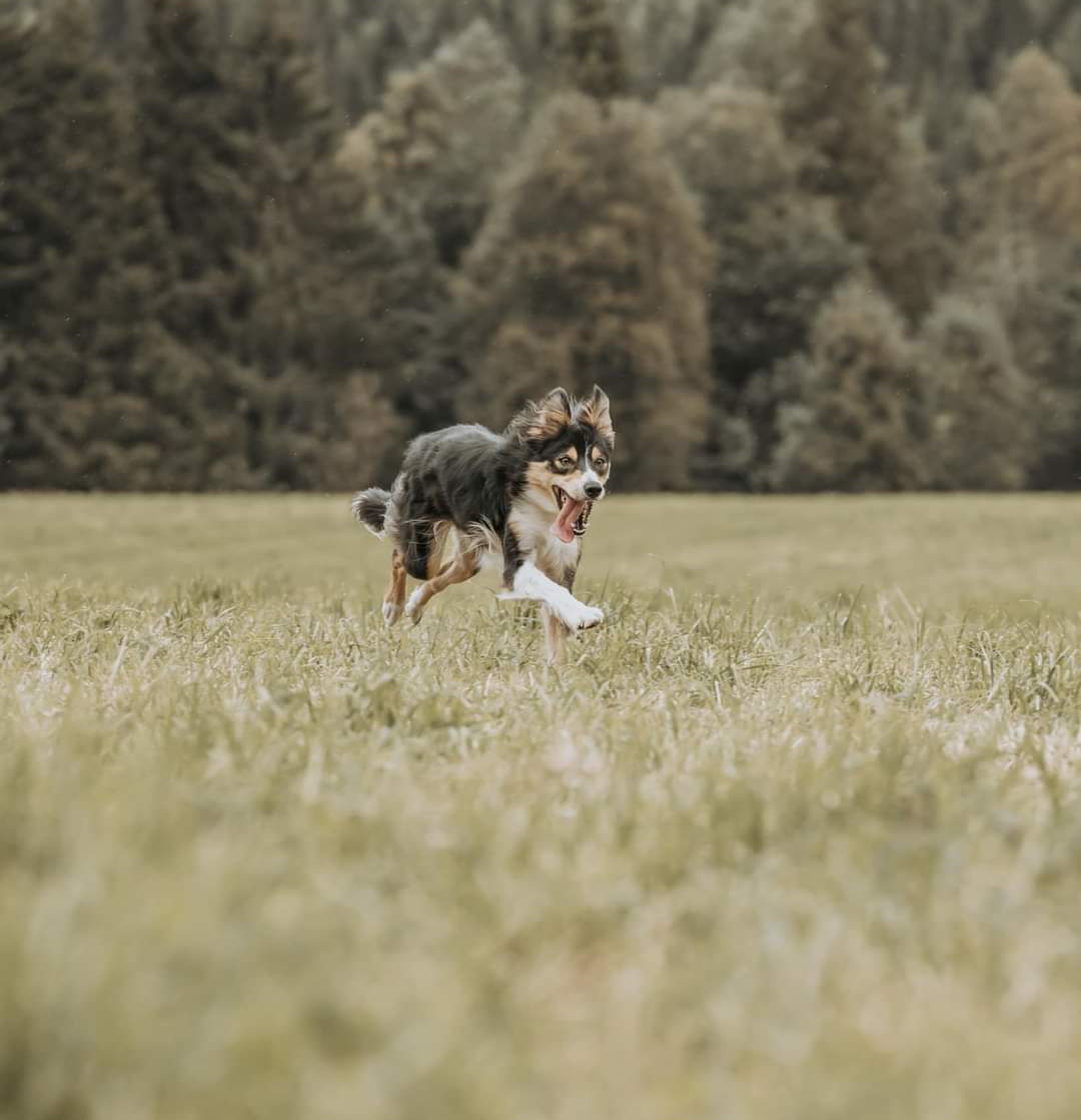 Sun of Winter Sun of Winter