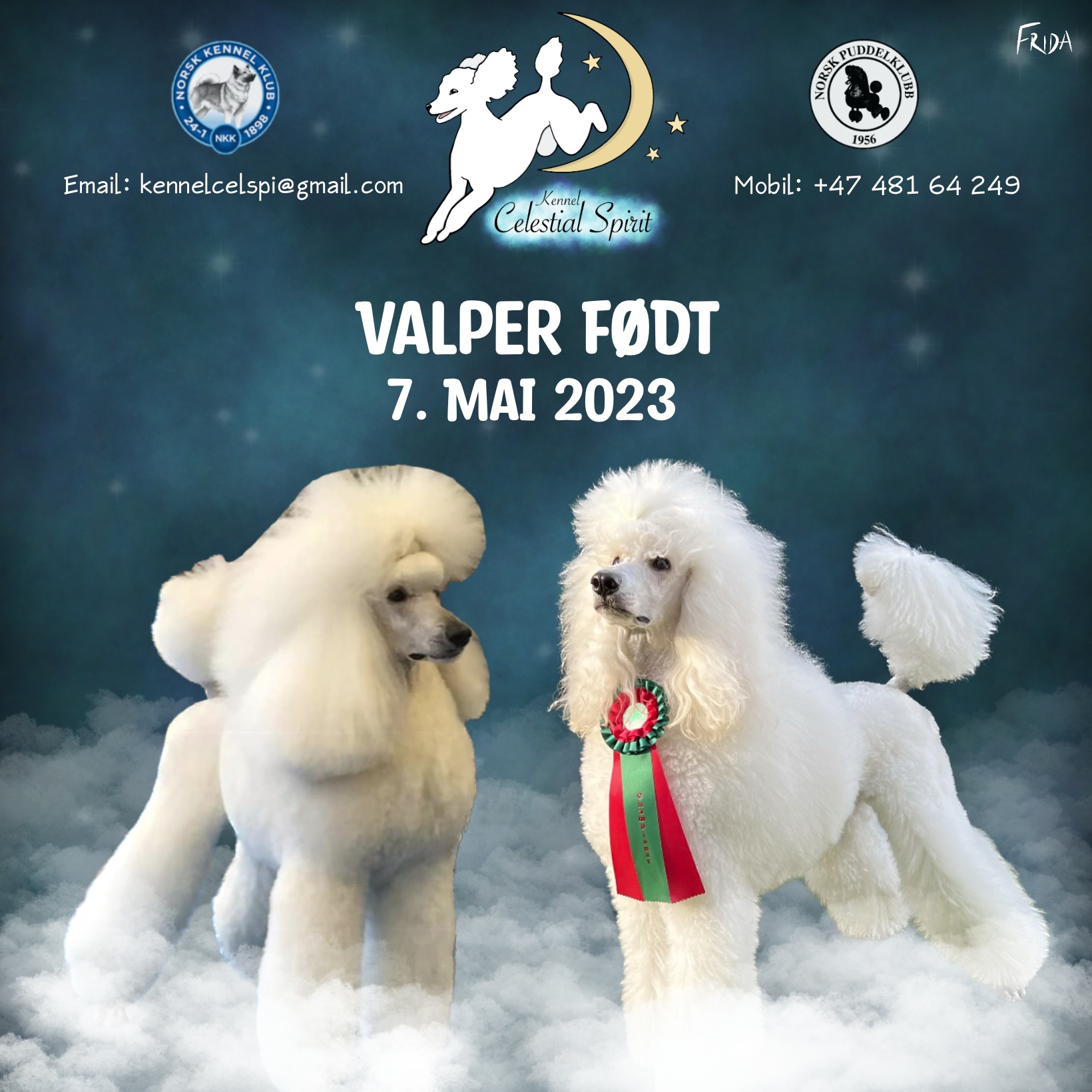 Celestial Spirit Celestial Spirit