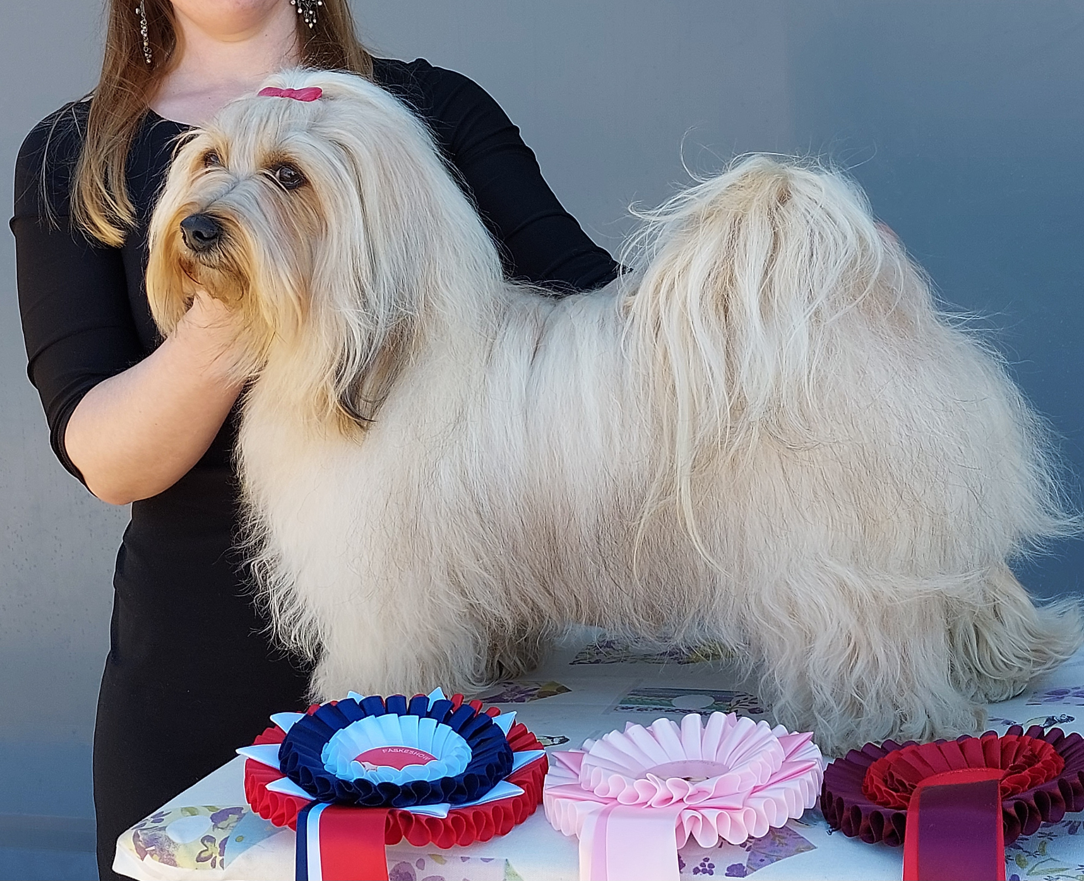 Havana Luxe Flirtin Fiffy Havana Luxe Flirtin Fiffy