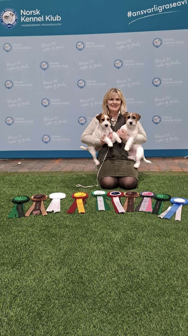 Morten Karlstad Morten Karlstad