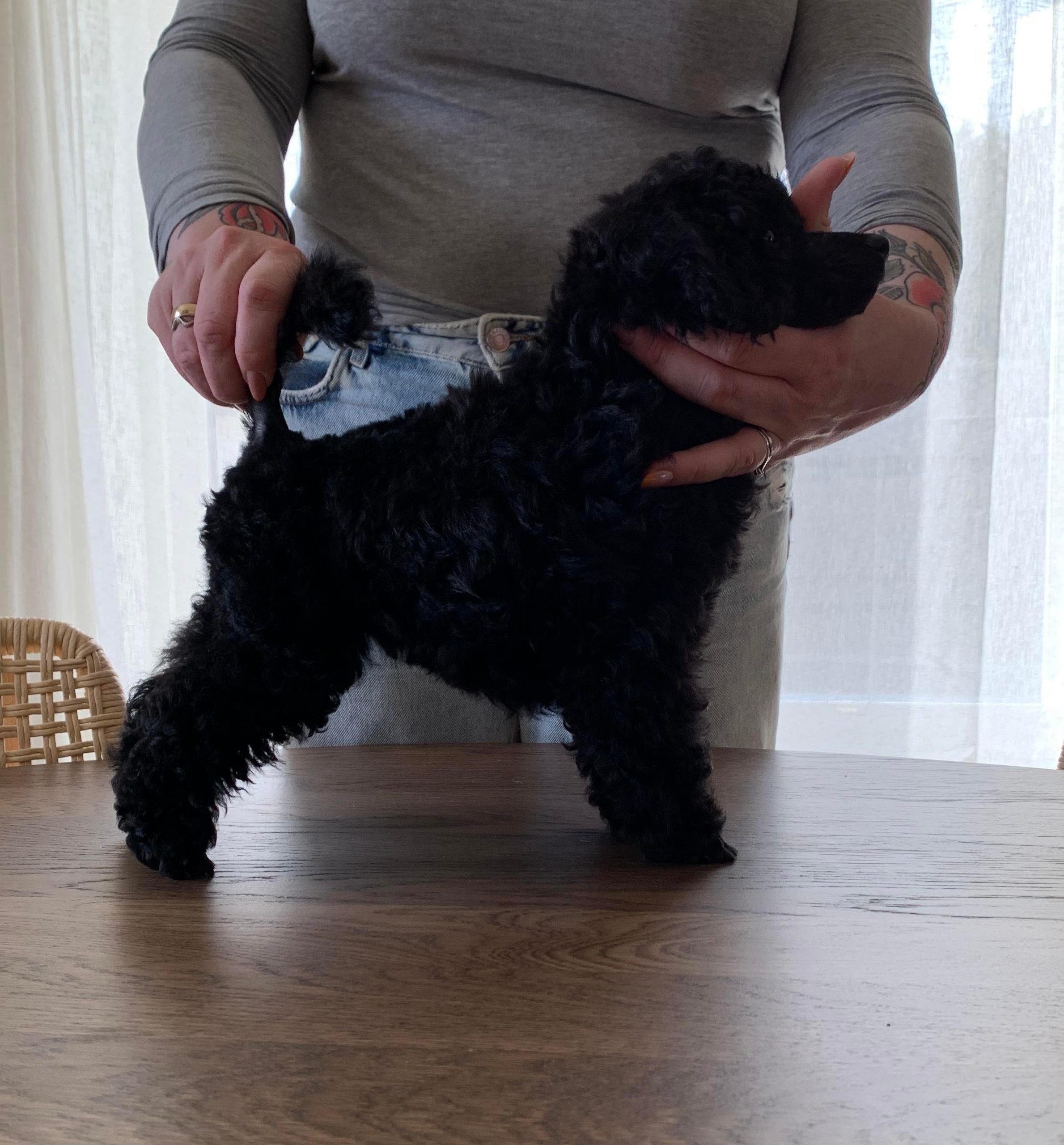 Edel Pauline Havig Edel Pauline Havig